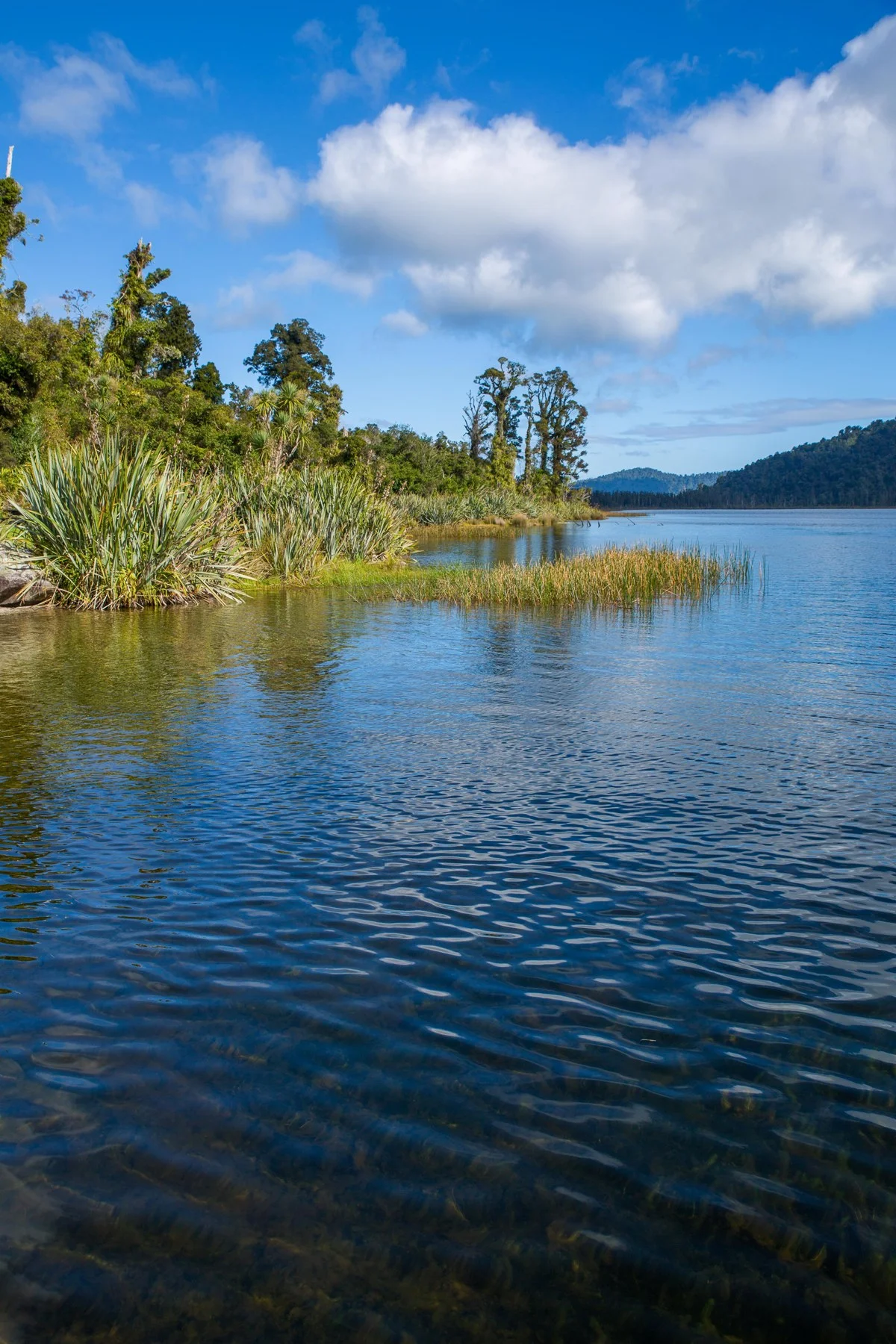 Lake Ianthe,-1488.JPG