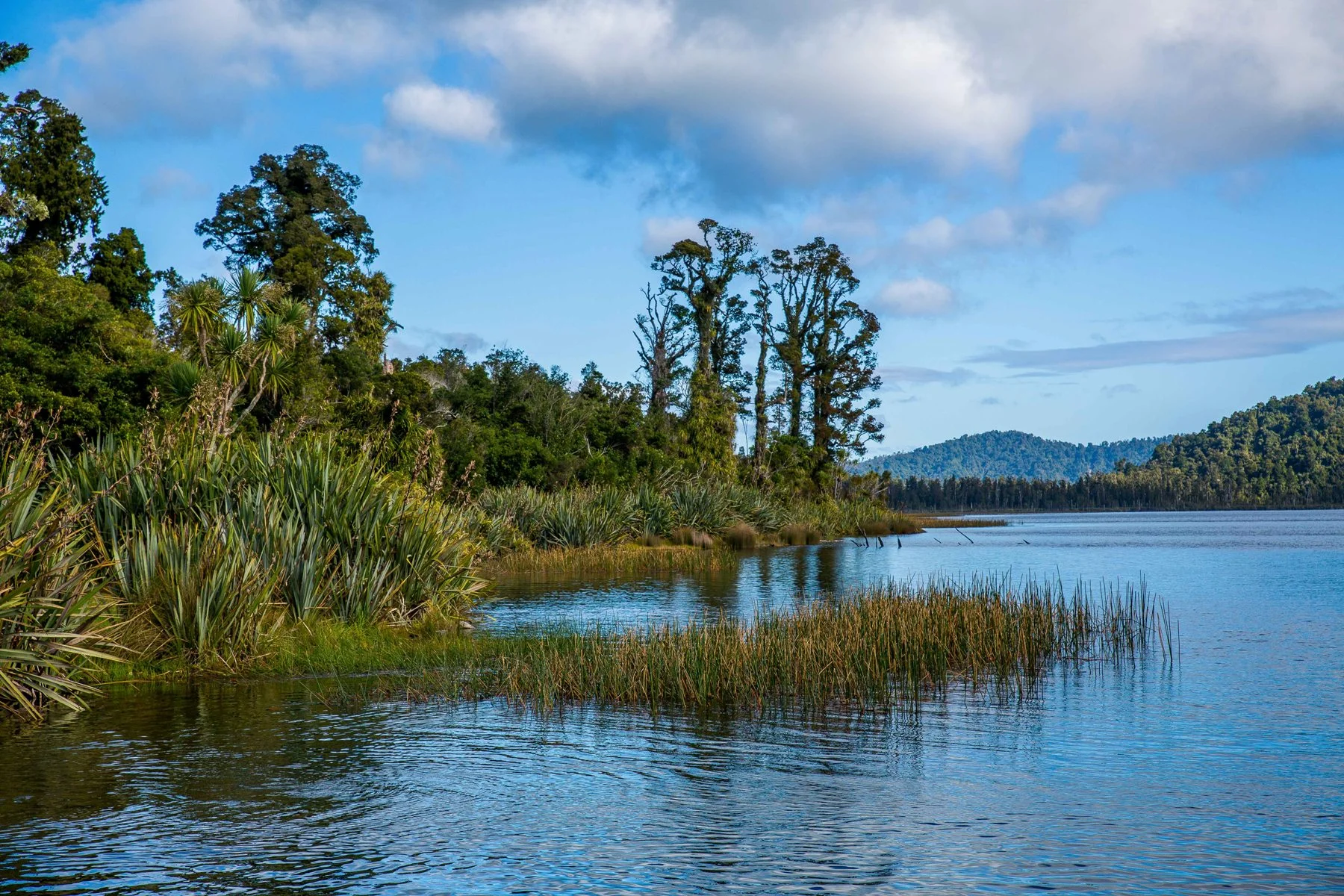 Lake Ianthe,-1489.JPG