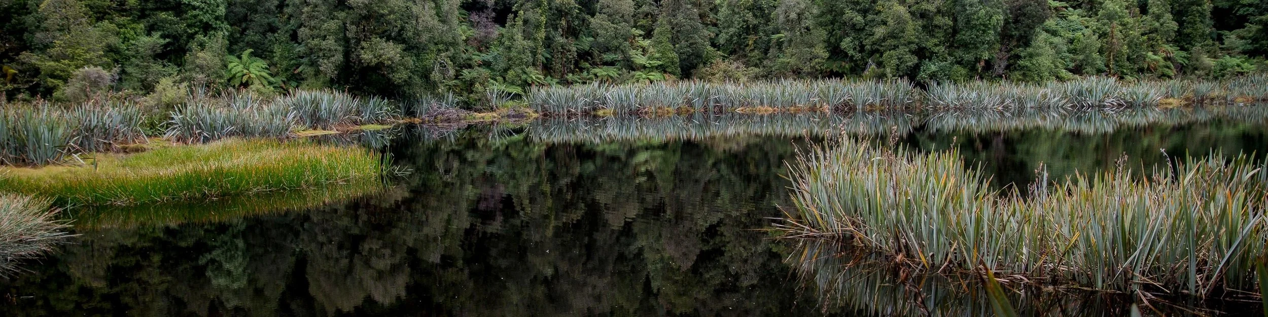 Lake Mathieson,-1534.JPG