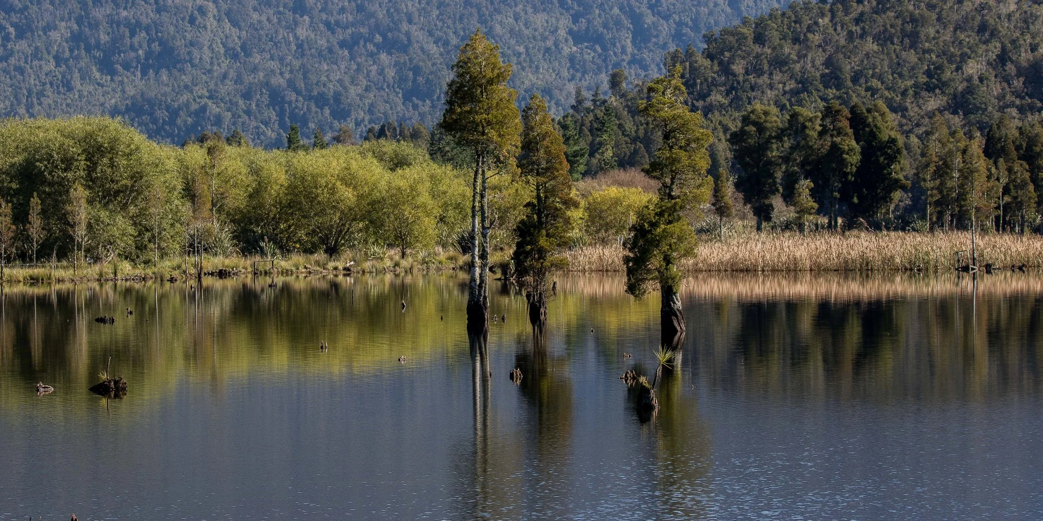 Lake Poenua,-878.JPG