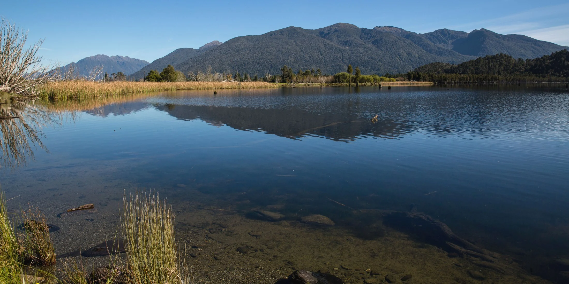 Lake Poenua,-1211.JPG