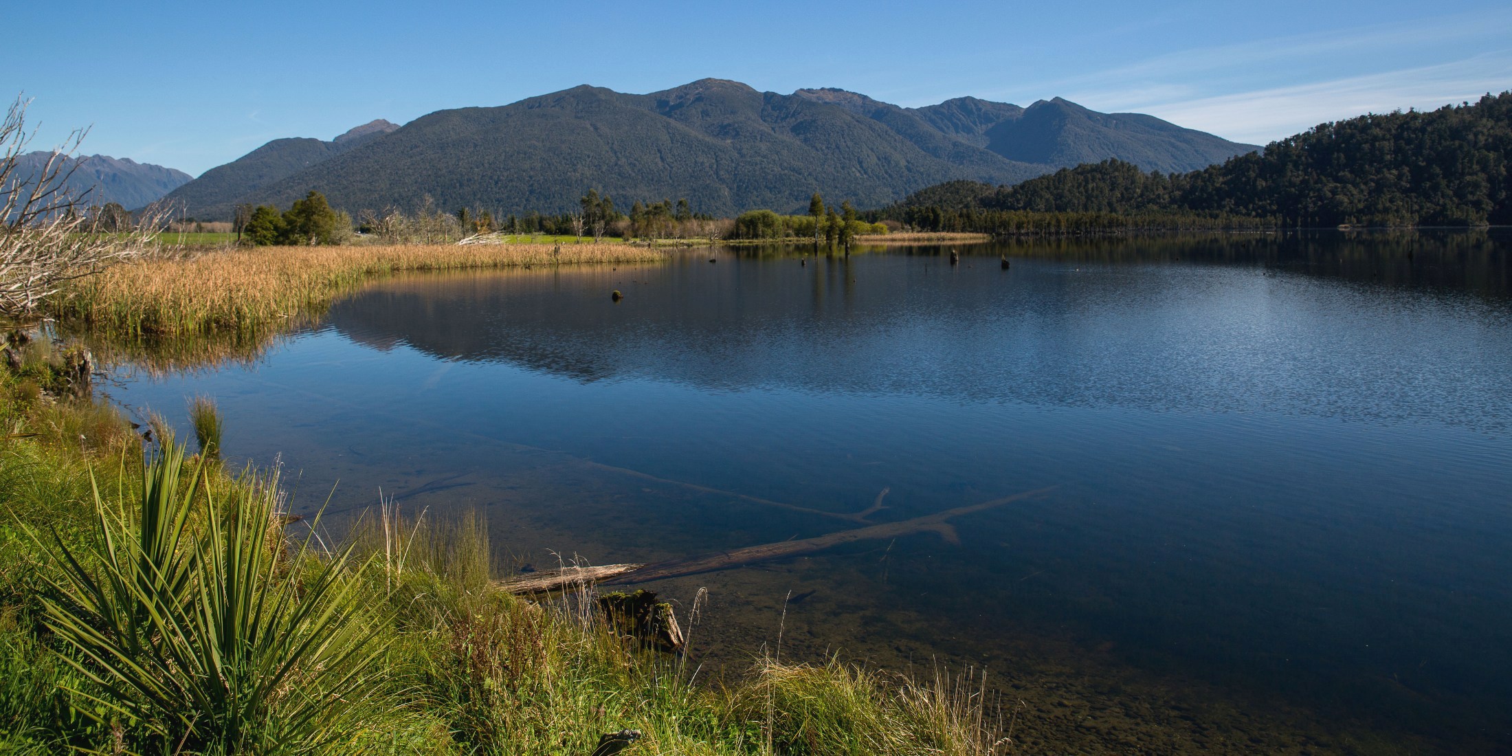 Lake Poenua,-1212.JPG