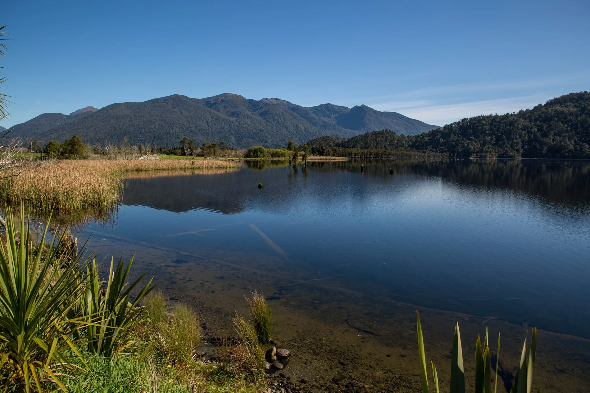 Lake Poenua,-1213.JPG