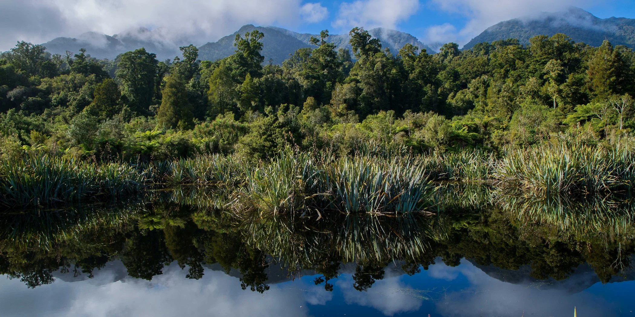 Westcoast wetland,-083.JPG