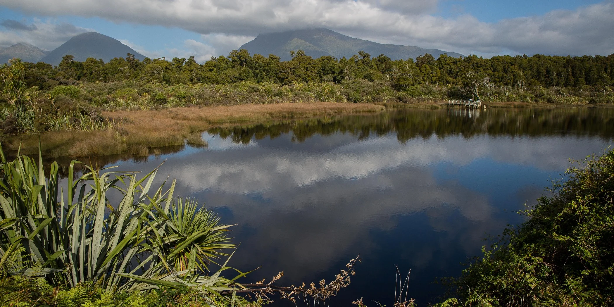 Westcoast Wetlands,-117.JPG