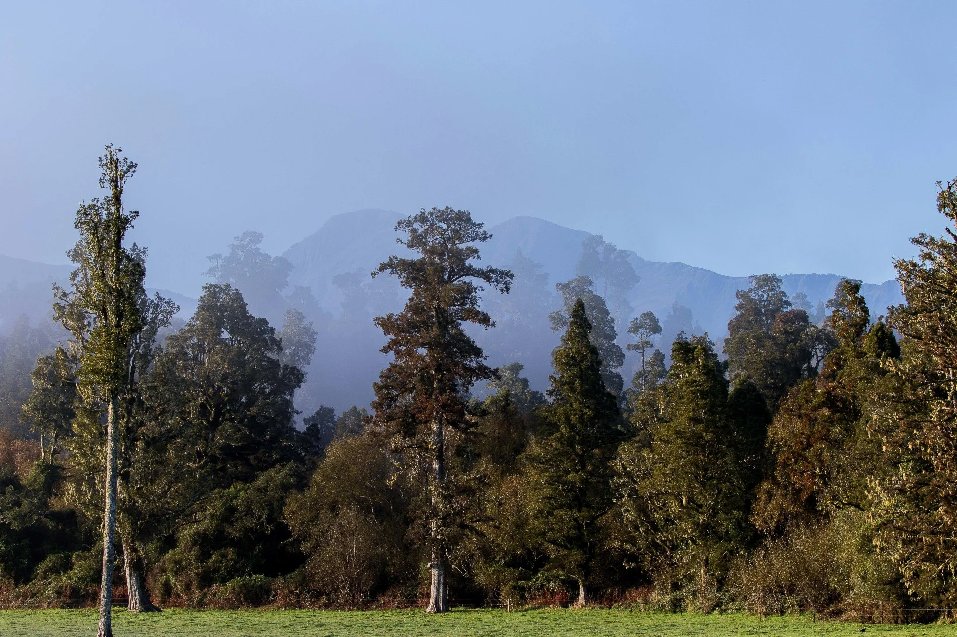 Westland,-856.JPG