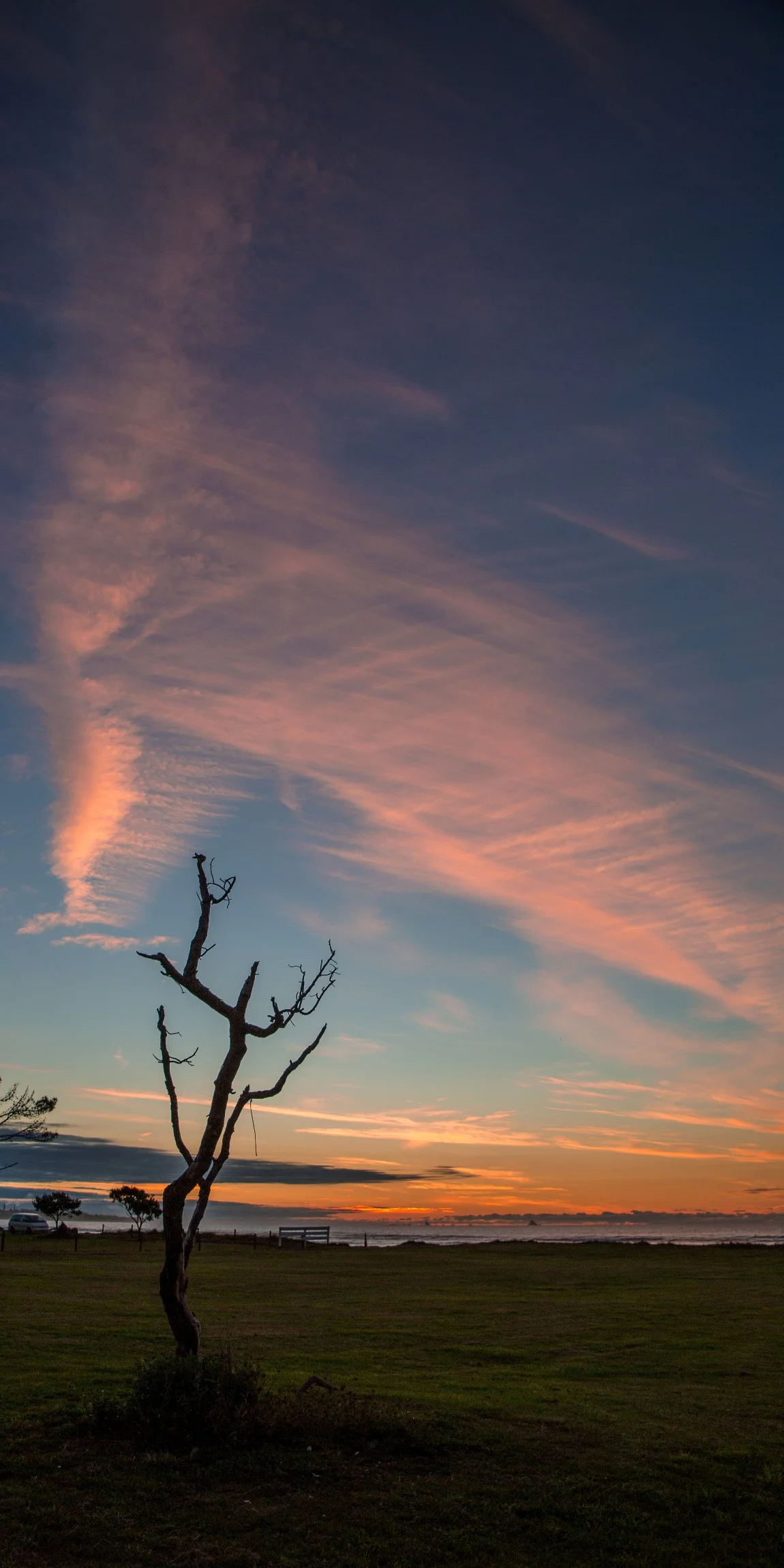 Carters Beach,-685.JPG