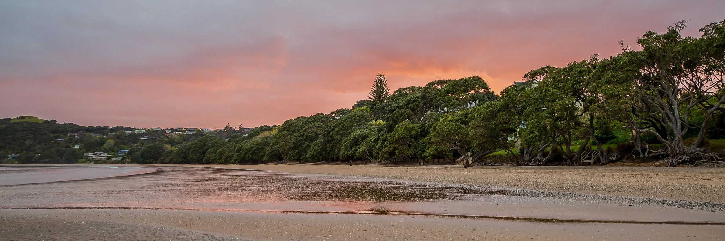 Coopers Beach,-351.JPG