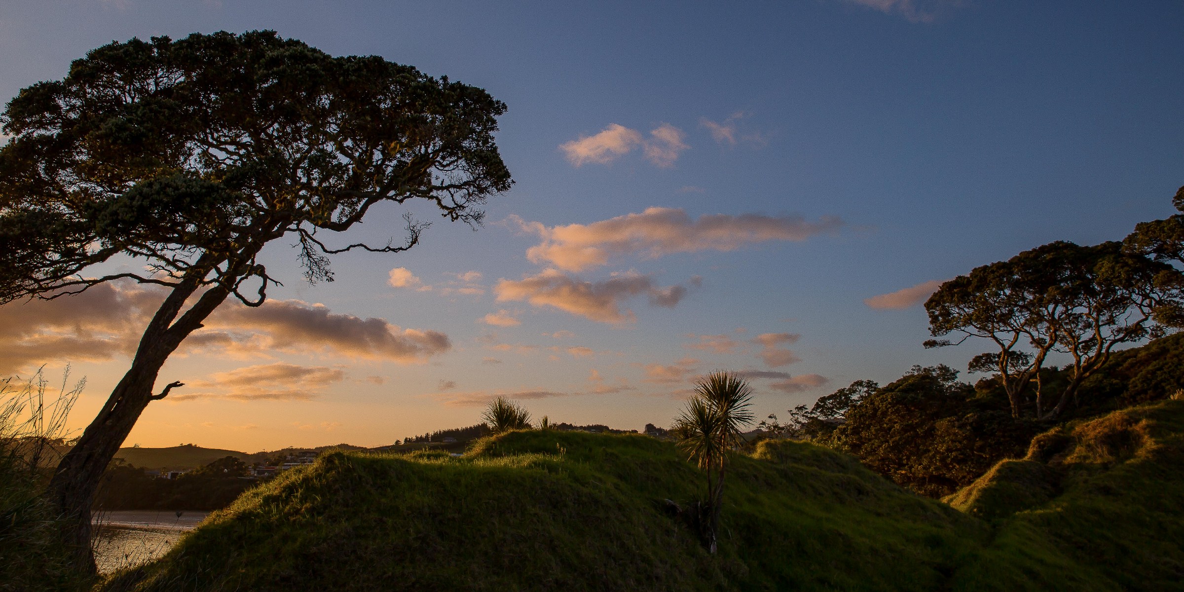 Coopers Beach,-378.JPG