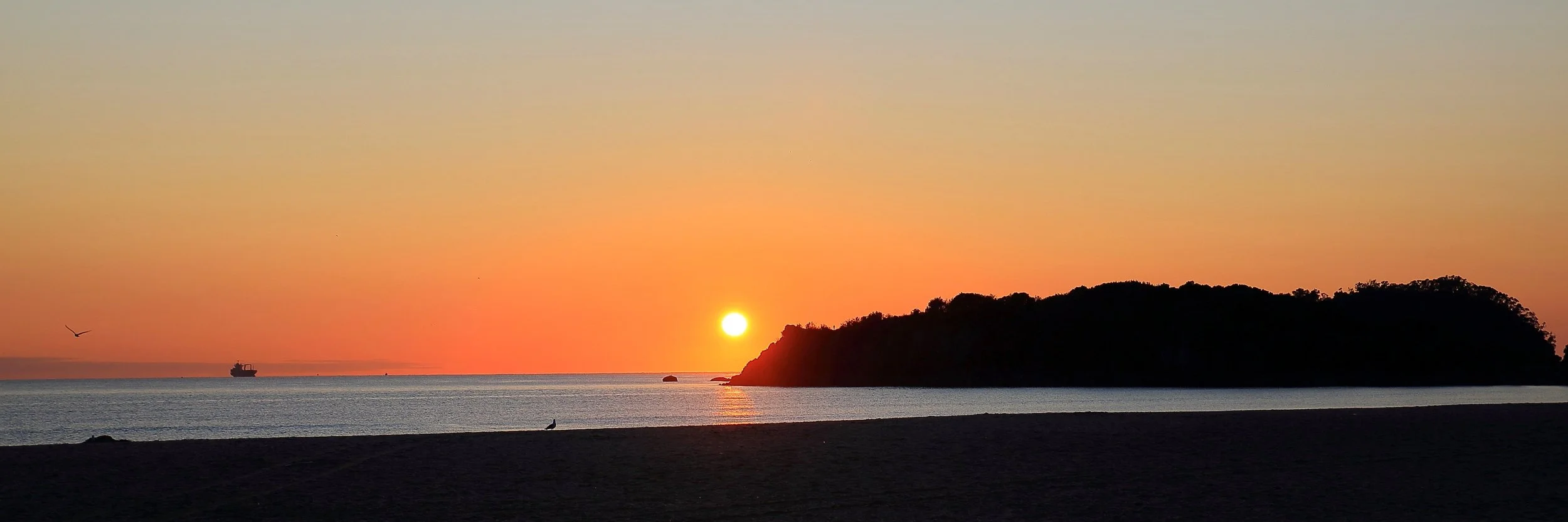 Mt Maunganui,229,-.JPG