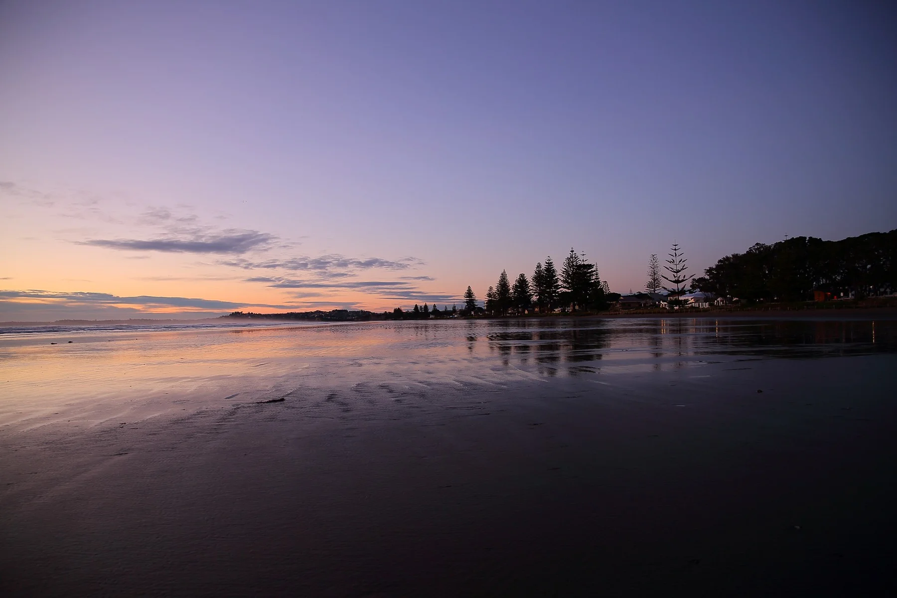 Orewa,-066.JPG