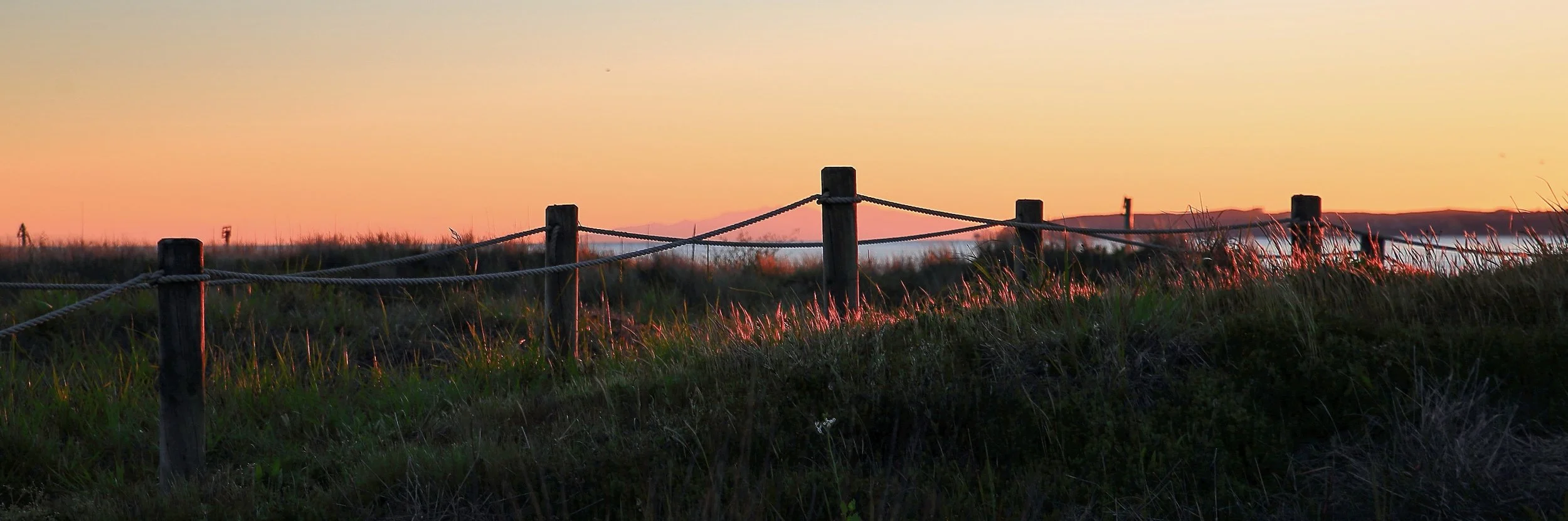 Orewa,538,-.JPG