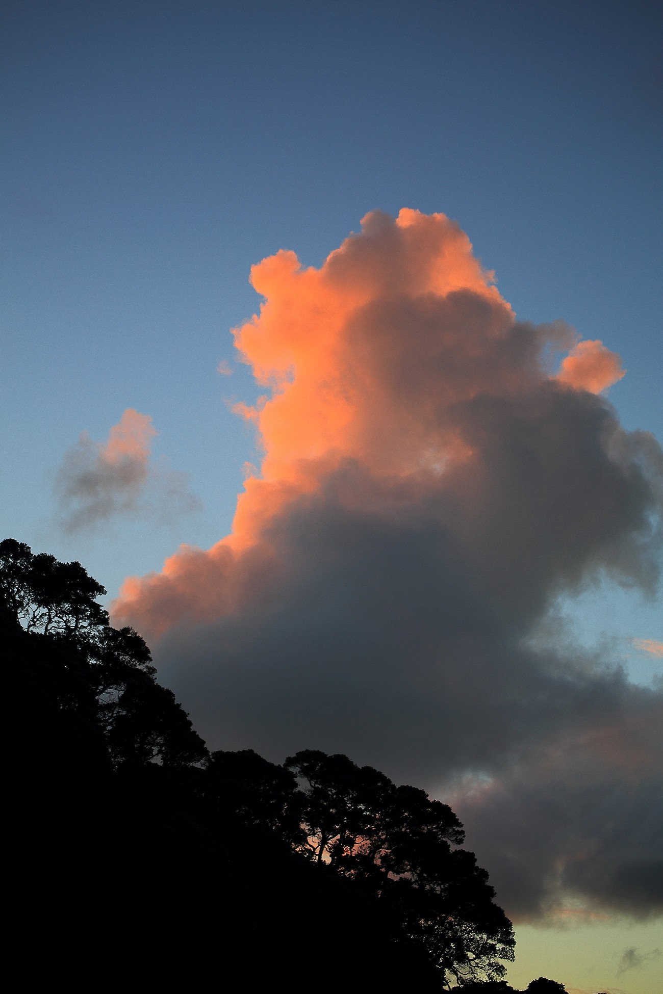 Shakespear Park,-017.JPG