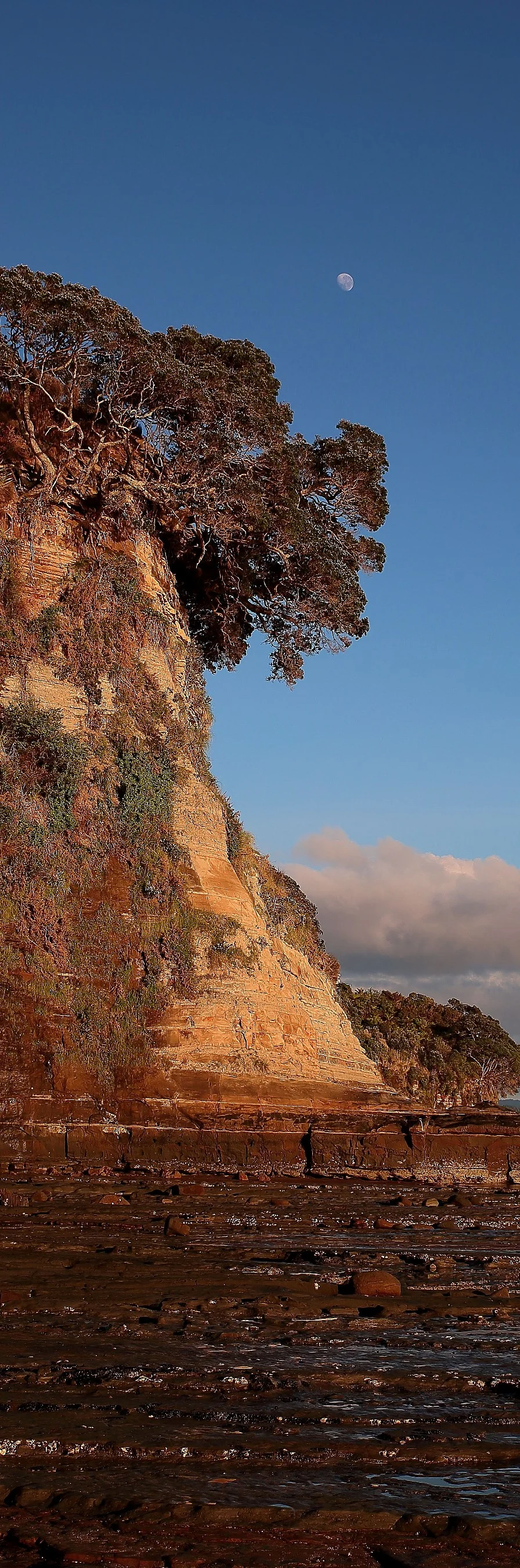 Stanmore Bay,331,-.JPG