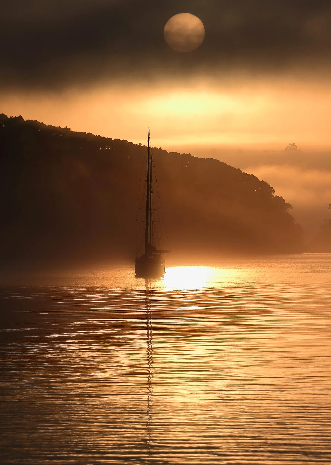 Waitangi,437,-.JPG