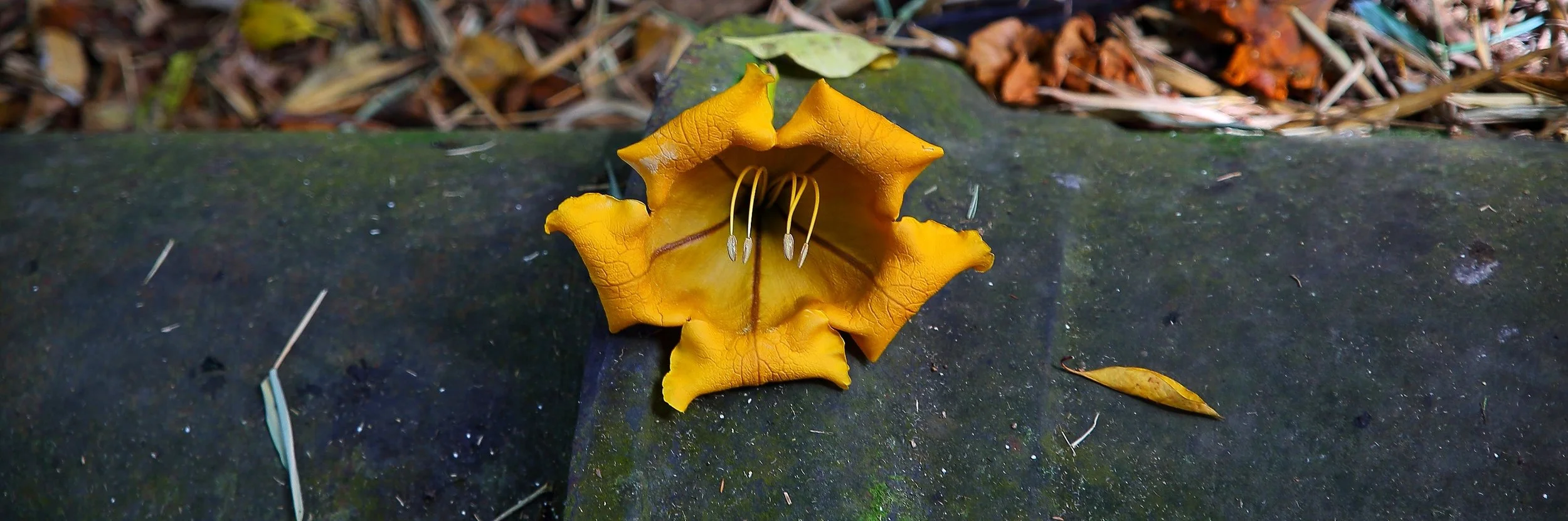 Water Pipe, 092,-.JPG