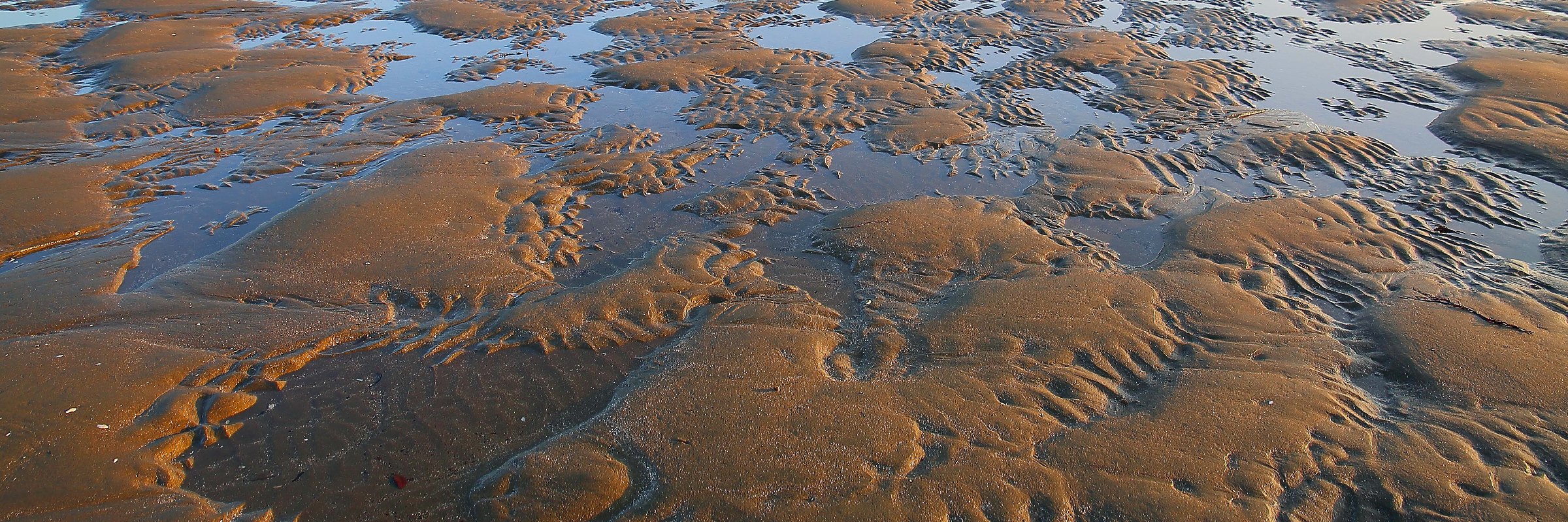 Low Tide,Wenderholm,-536.JPG
