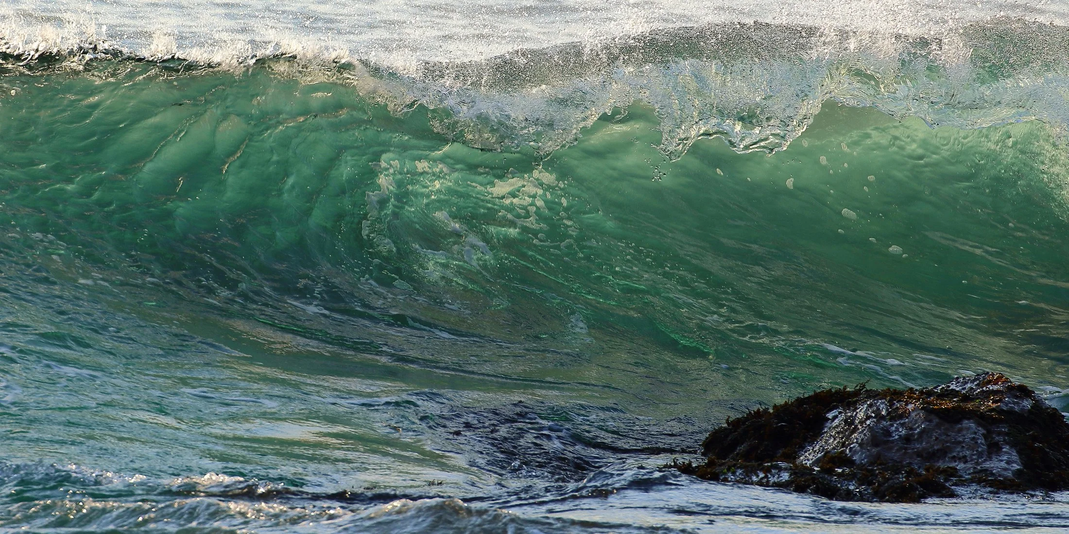 Mt,Maunganui,239,-.JPG