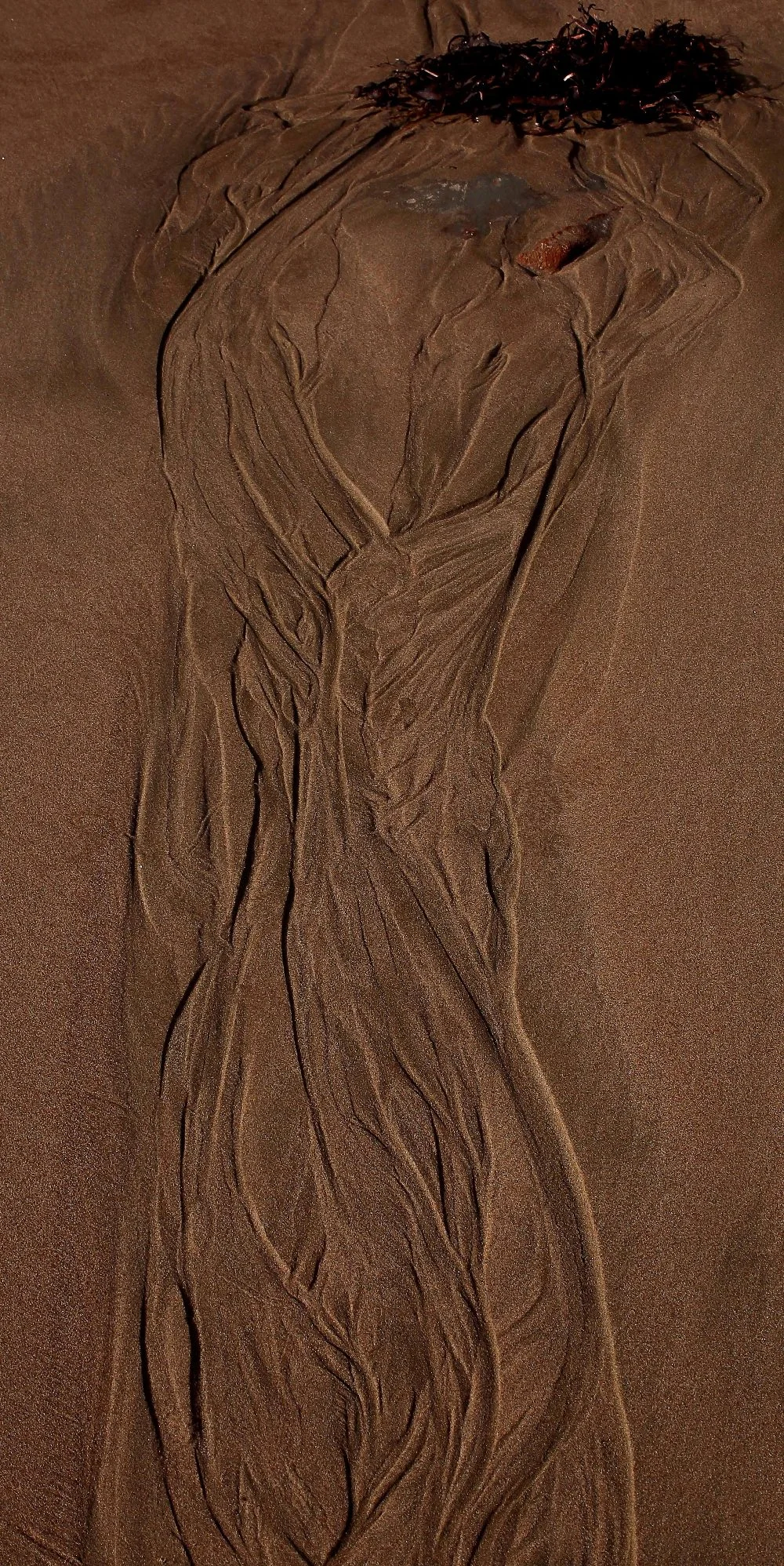 Stanmore Bay,055,-.JPG