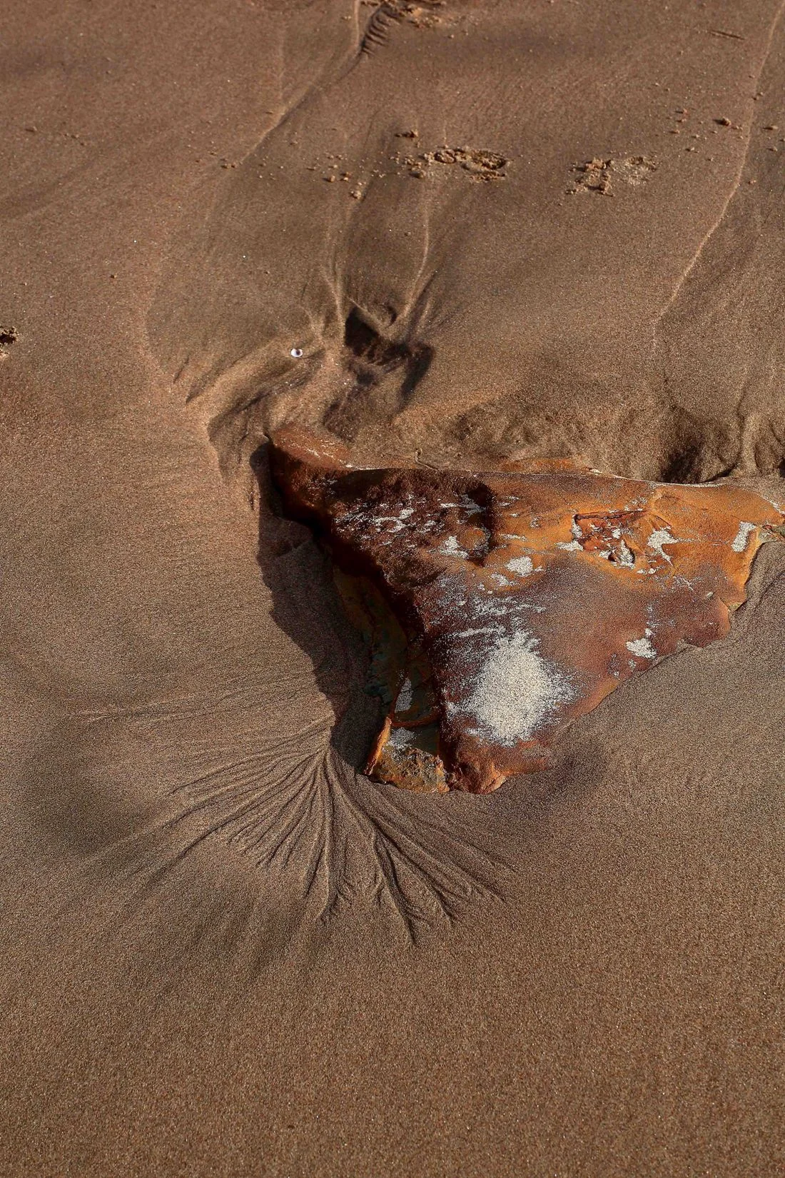 Stanmore Bay,-056.JPG