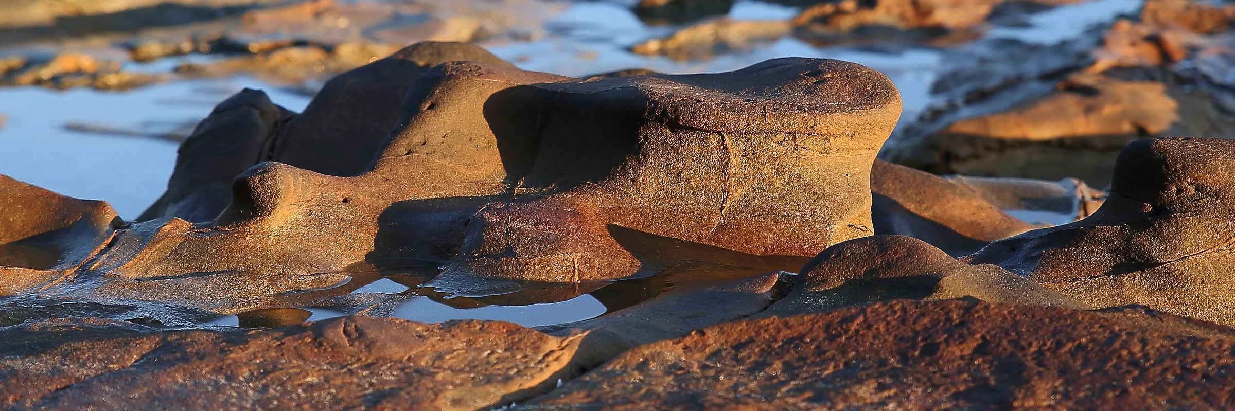 Stanmore Bay,319,-.JPG