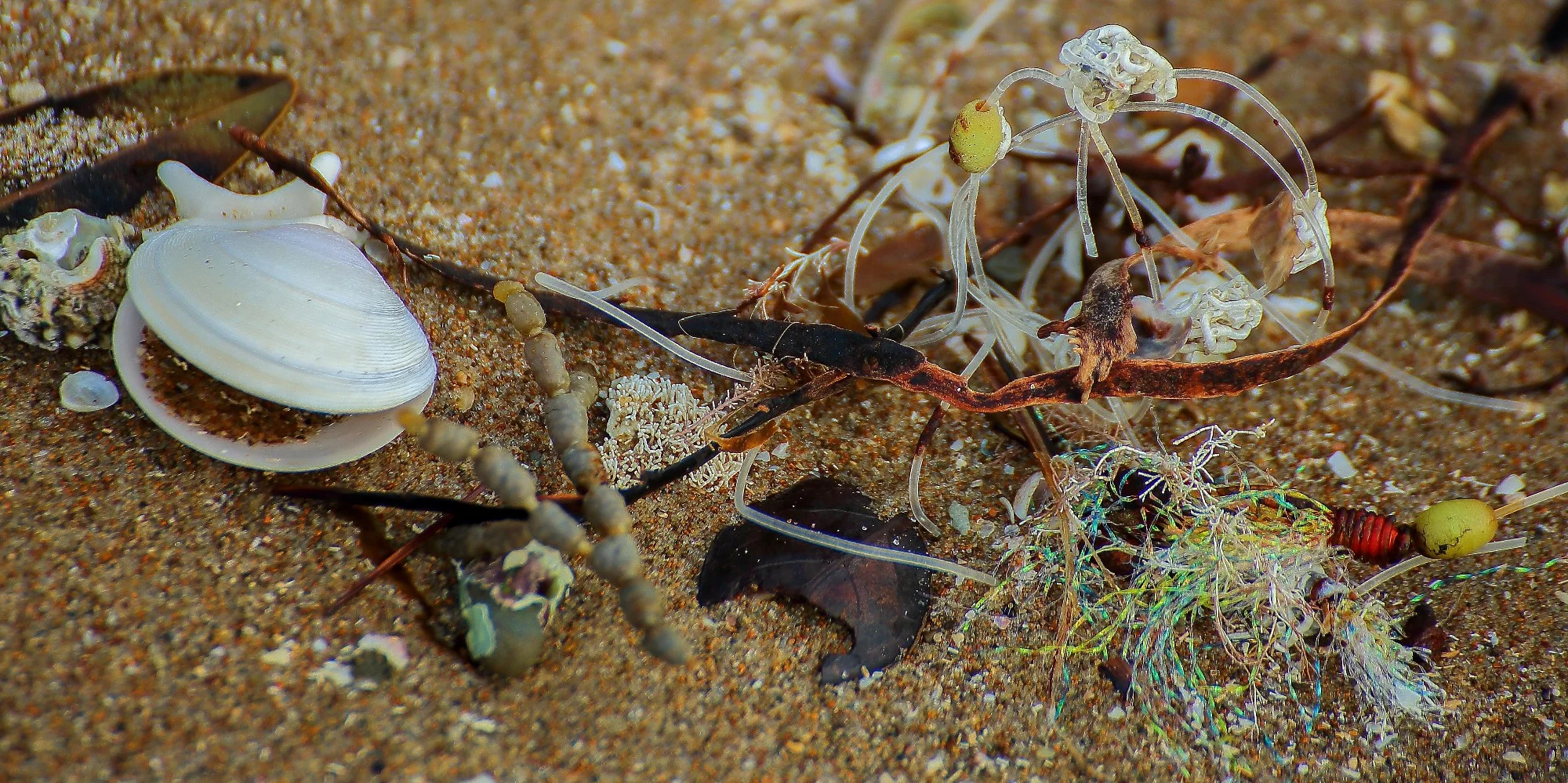 Stanmore Bay,601,-.JPG