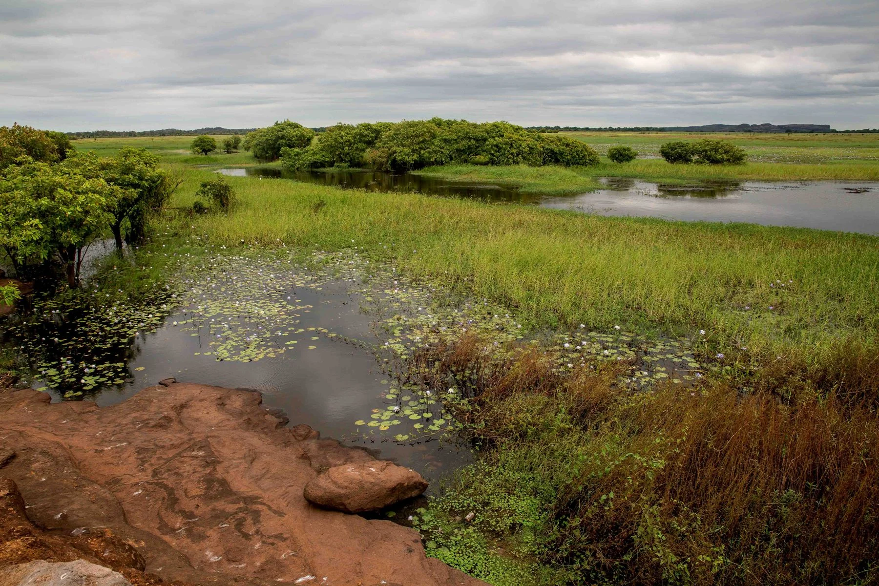 Arnhem Land,082,-.JPG