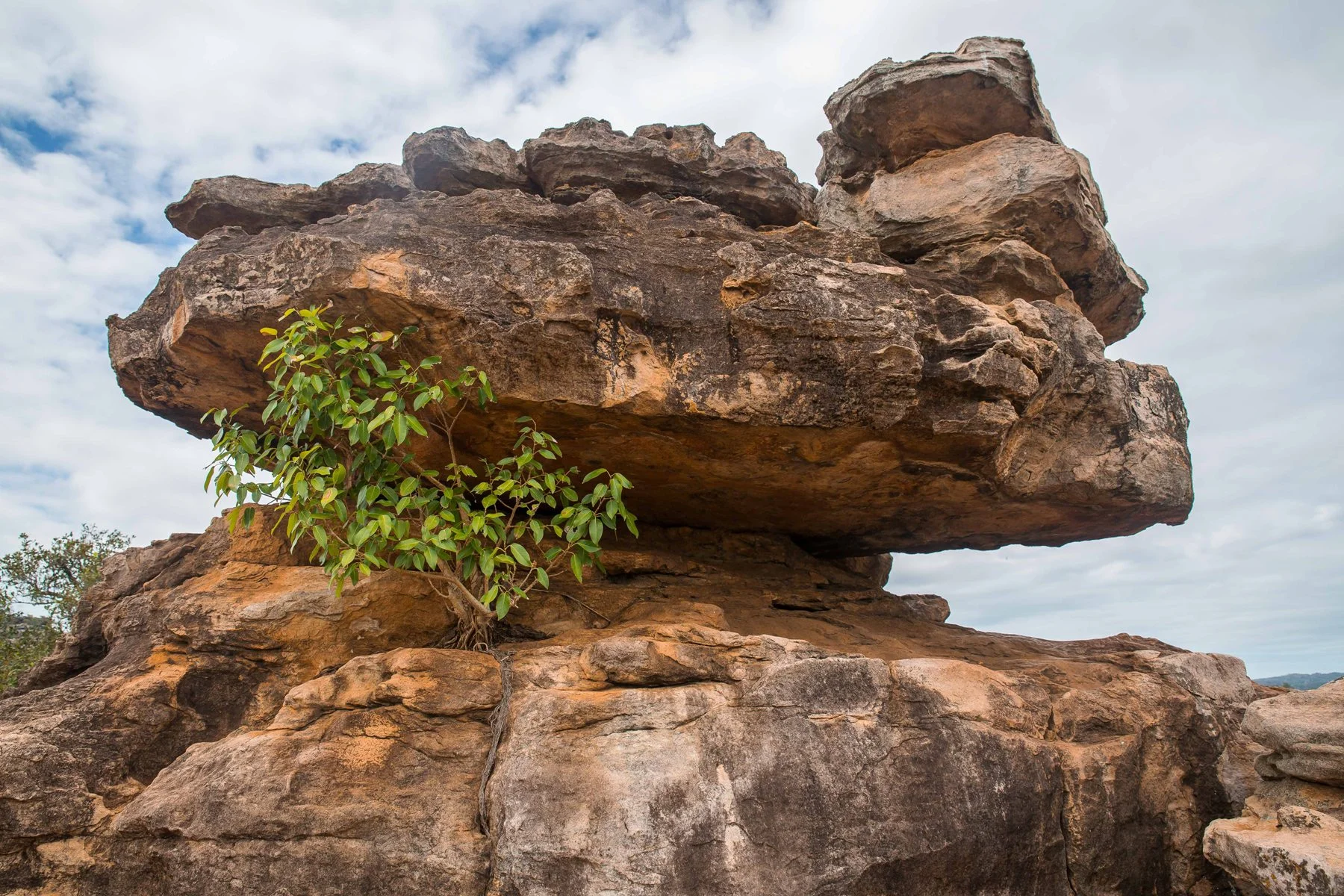 Arnhem Land,092,-.JPG