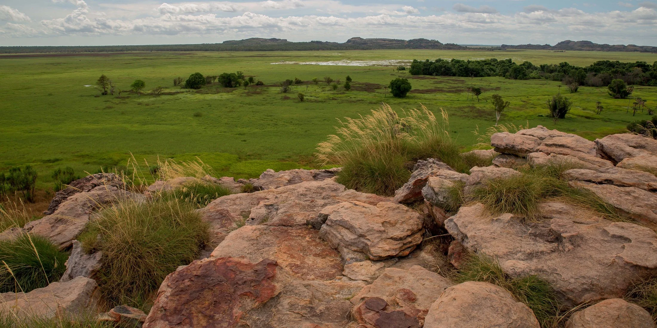 Kakadu,049,-.JPG
