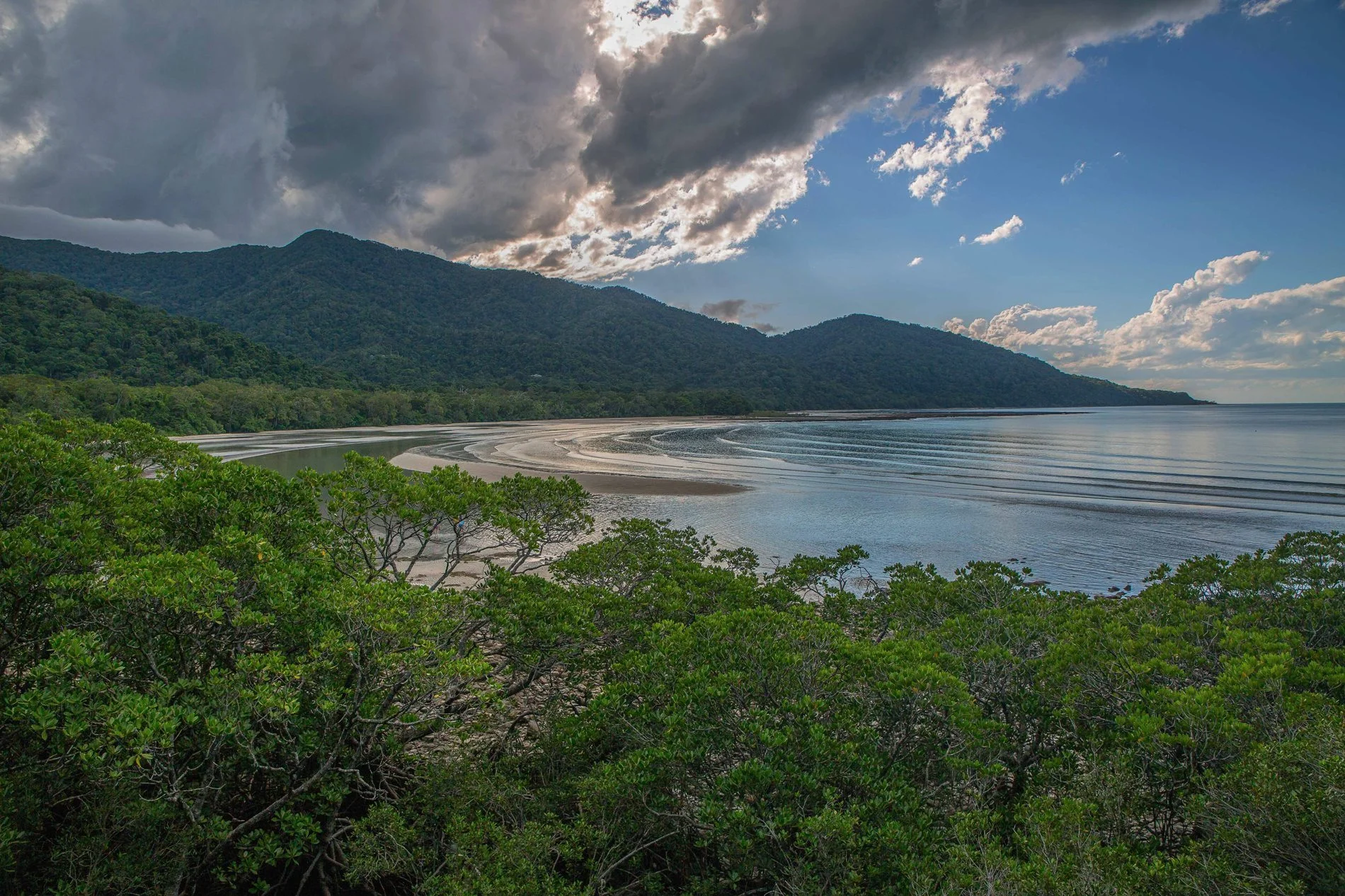 Cape Tribulation,537,-.JPG