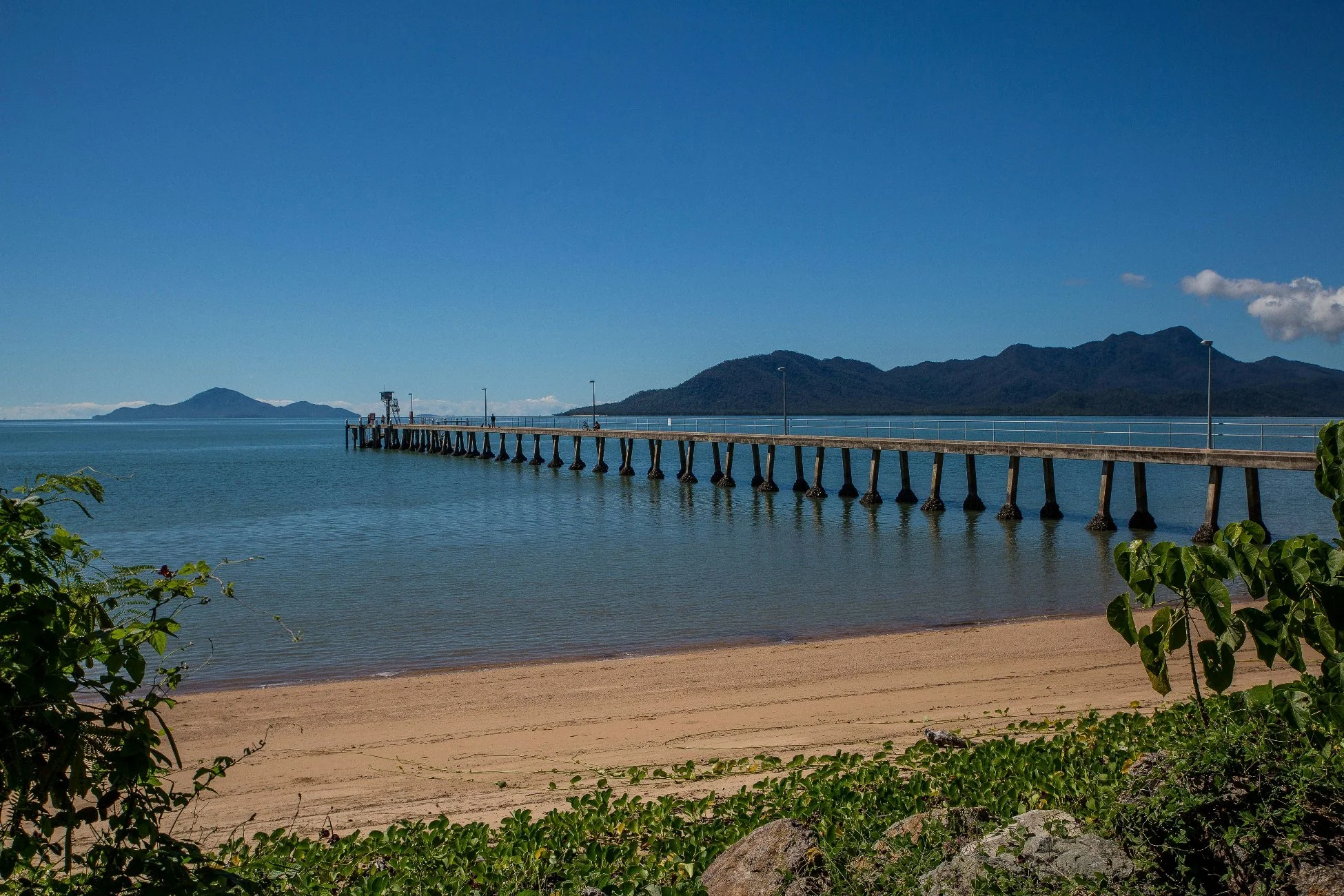 Cardwell,916,-.JPG