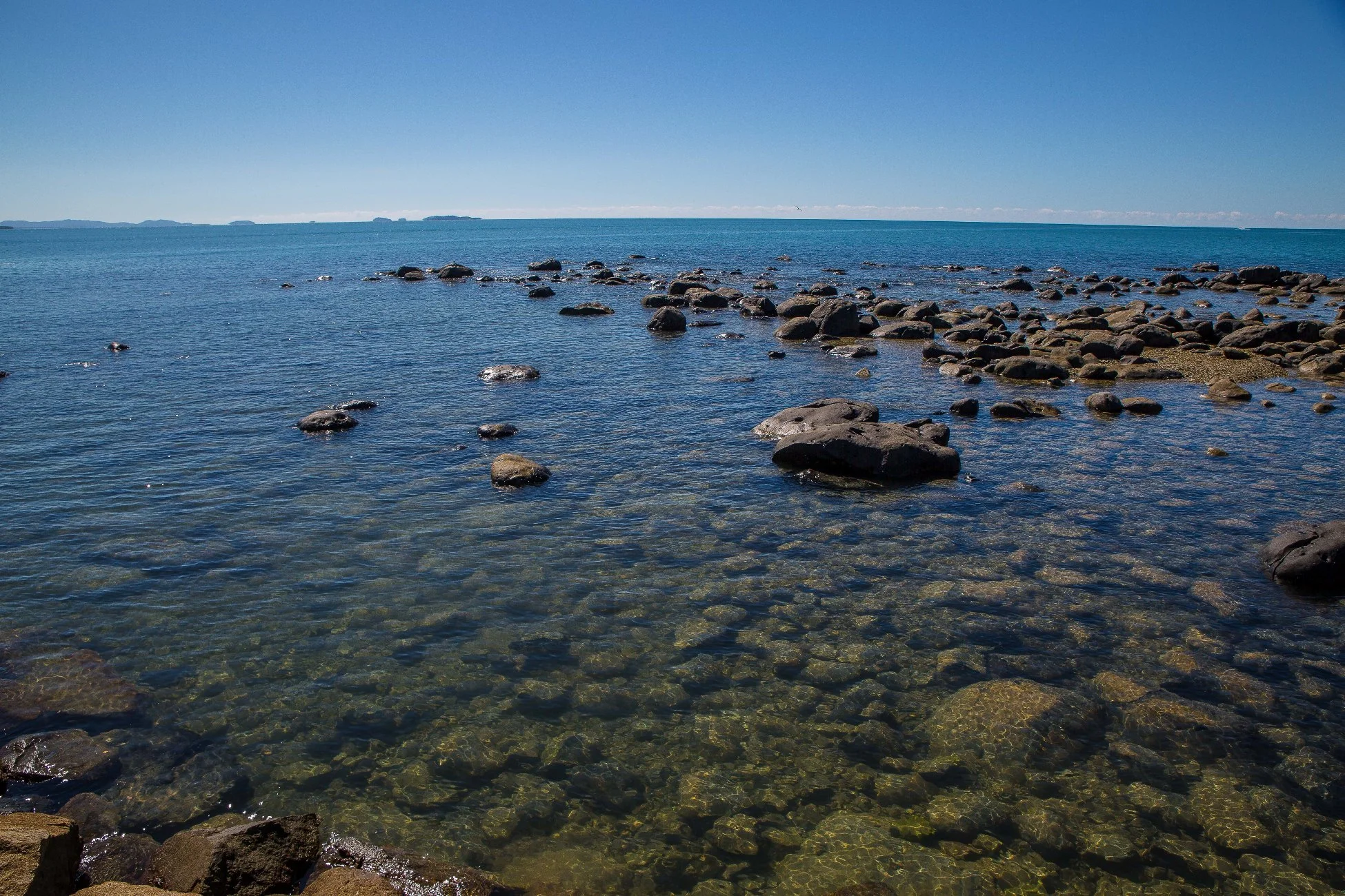 Clump point,701,-.JPG