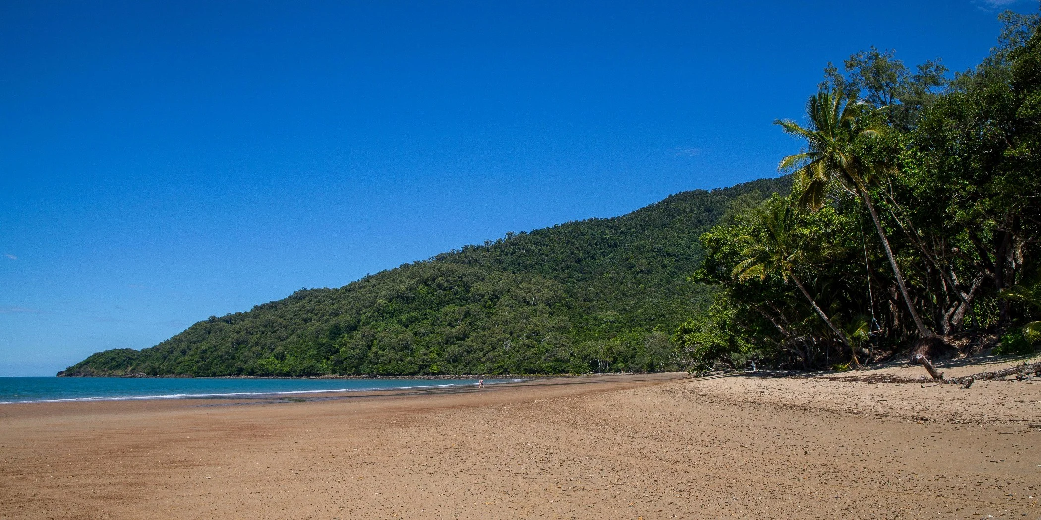 Cow Bay,476,-.JPG