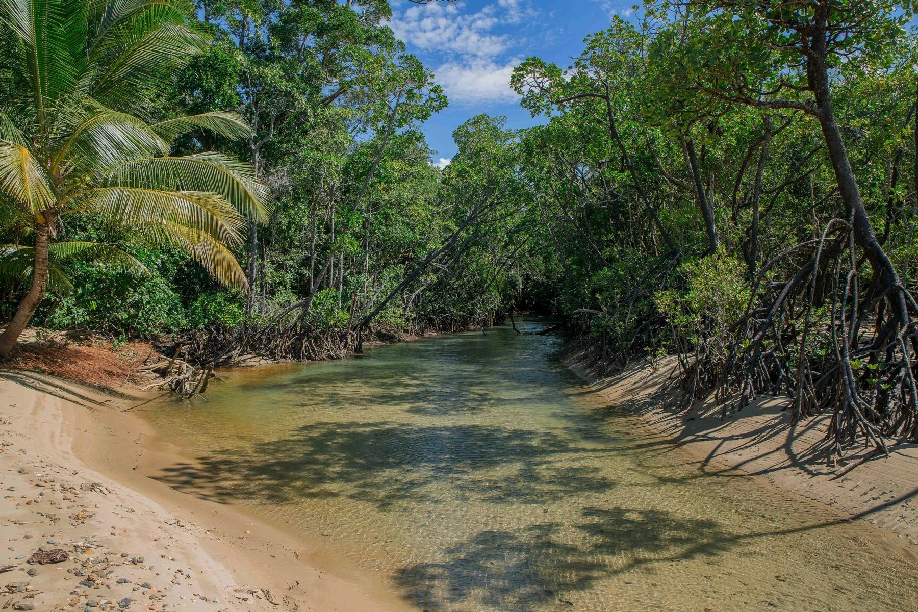 Cow Bay,478,-.JPG