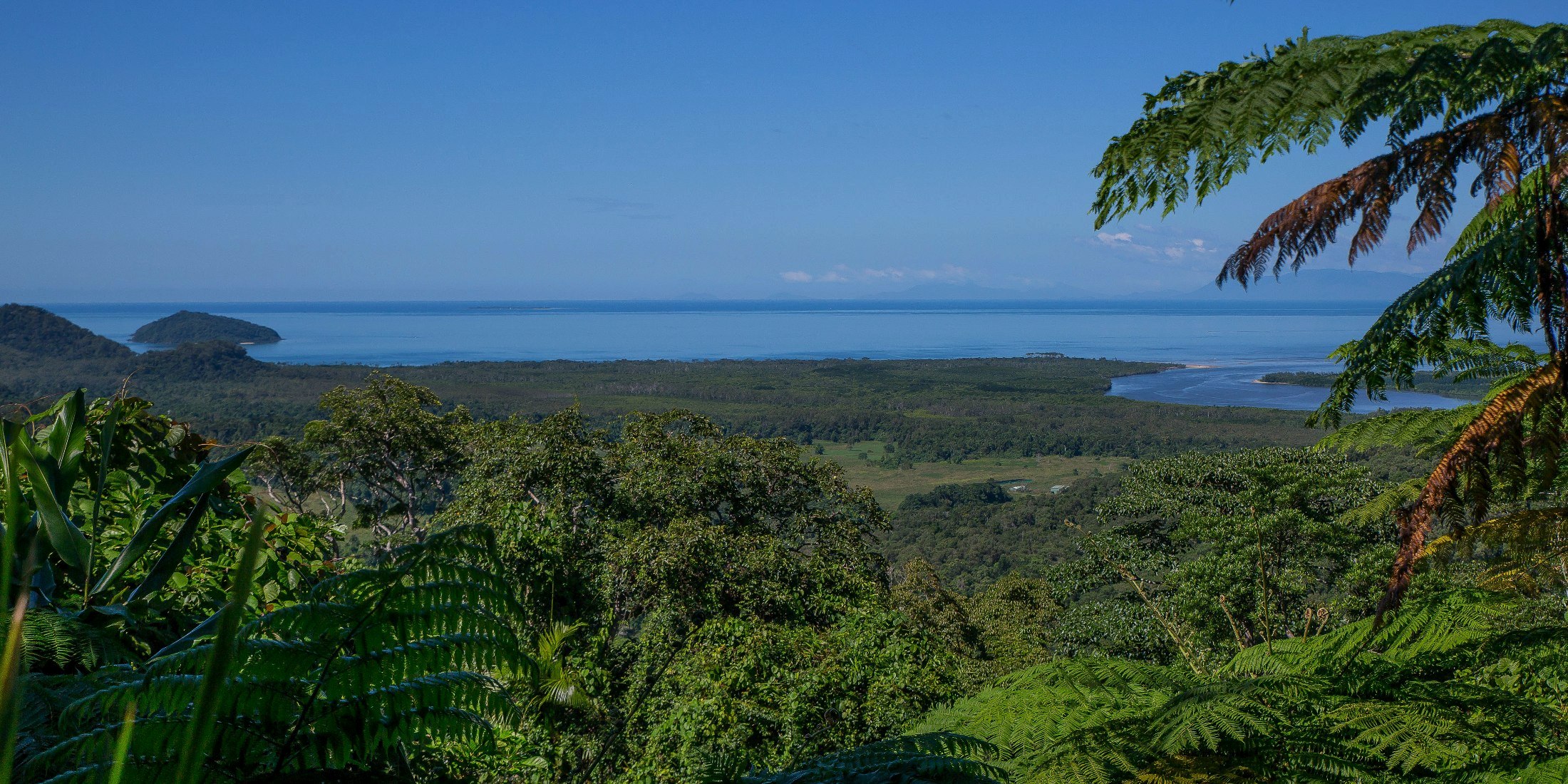 Daintree River,452,-.JPG