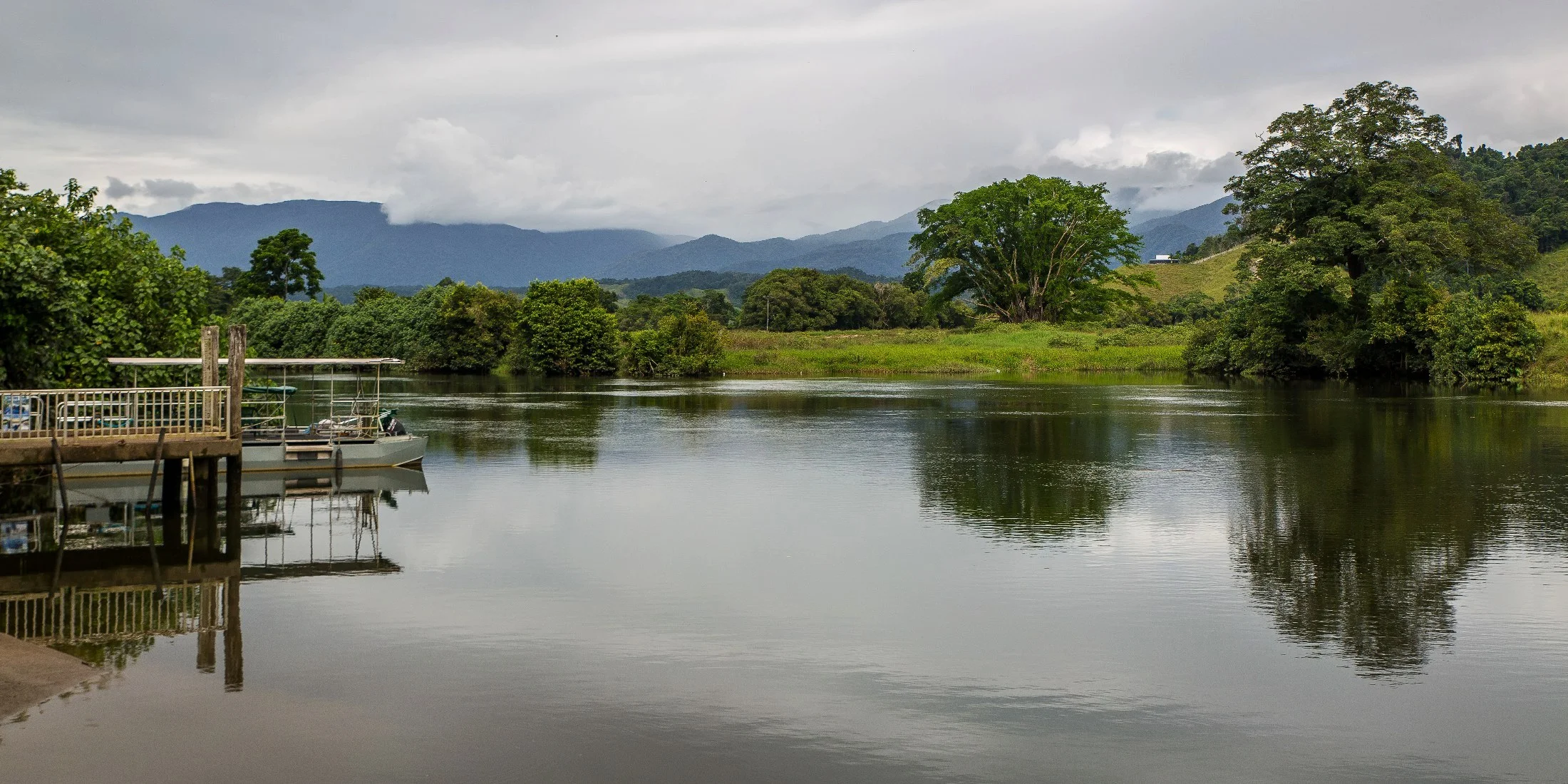 Daintree,301,-.JPG