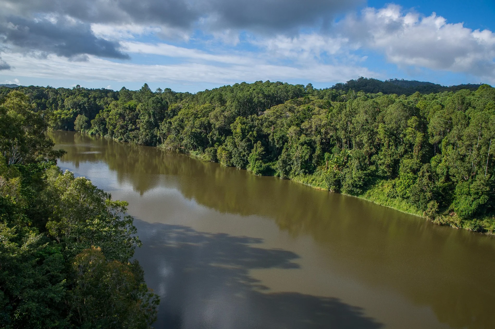 Kuranda Skyrail,235,-.JPG