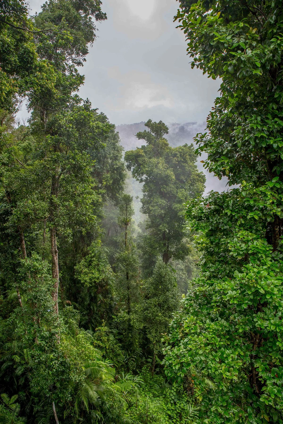 Manu Skywalk,122,-.JPG