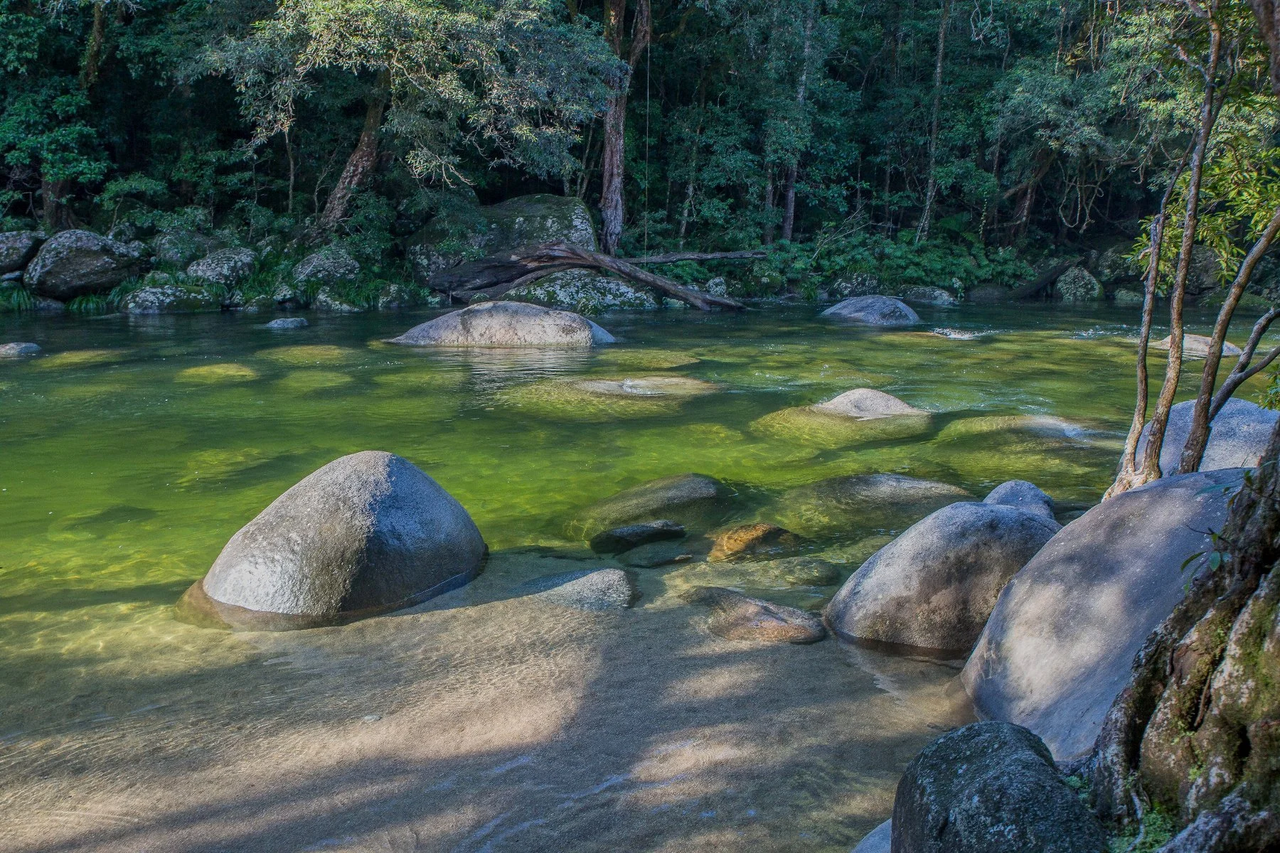 Mossman Gorge,361,-.JPG