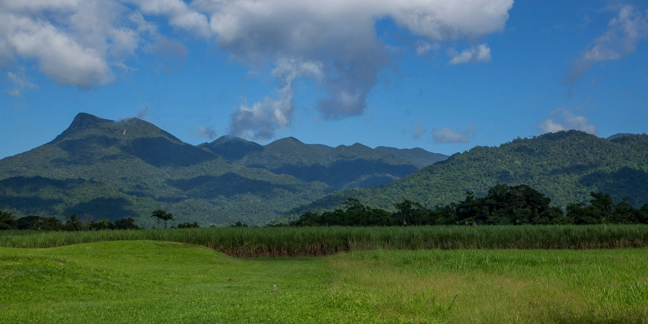 Mossman,432,-.JPG