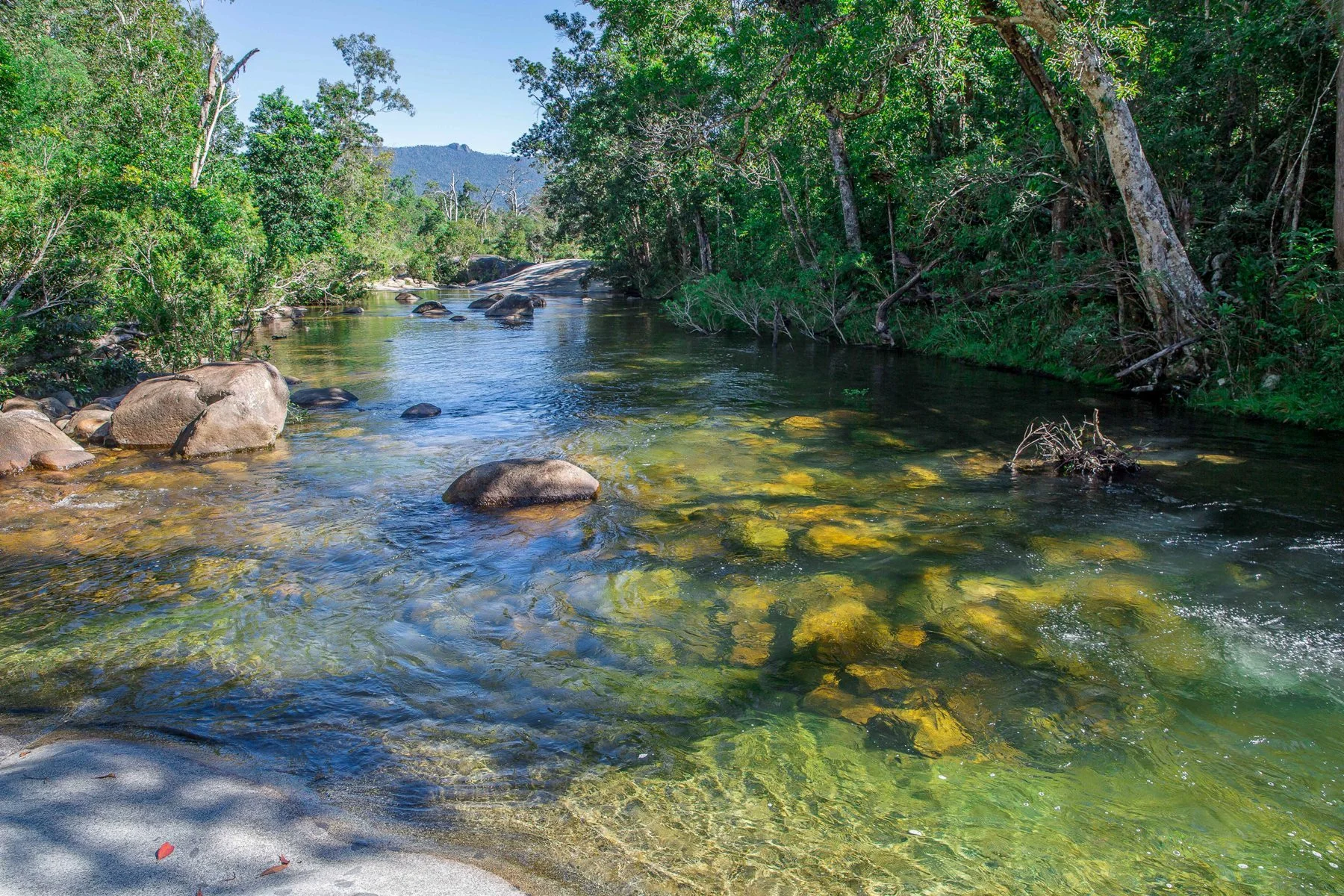 Murray Falls,899,-.JPG