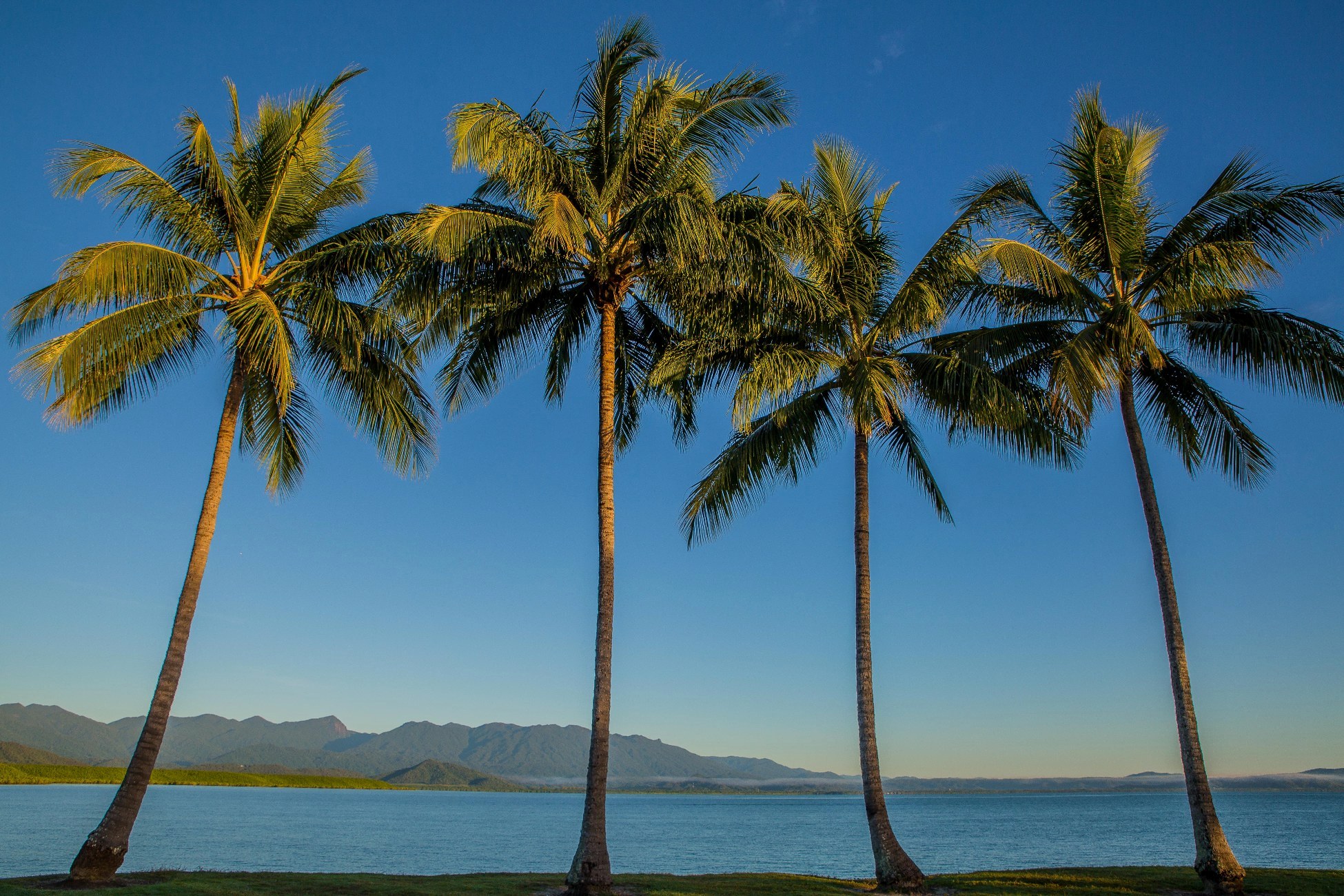 Port Douglas,643,-.JPG