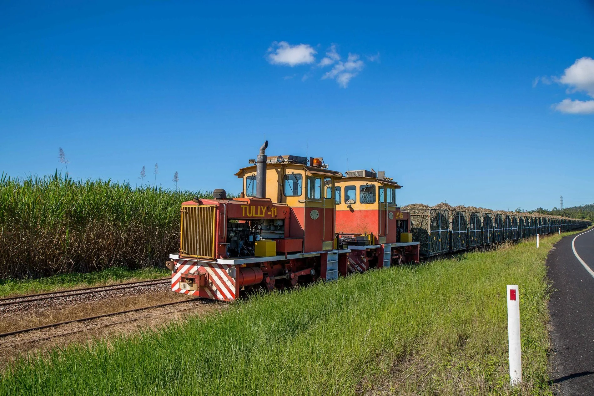 Sugar,934,-.JPG