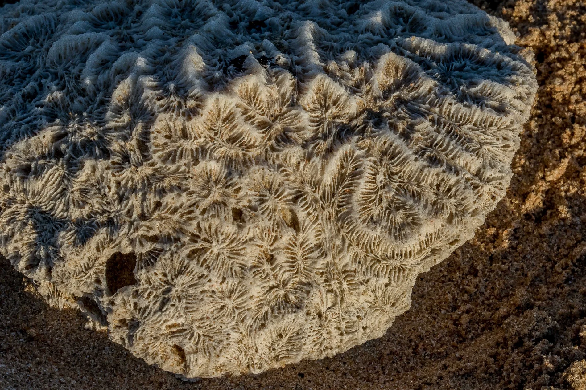 Broome,Cable Beach,1343,-.JPG