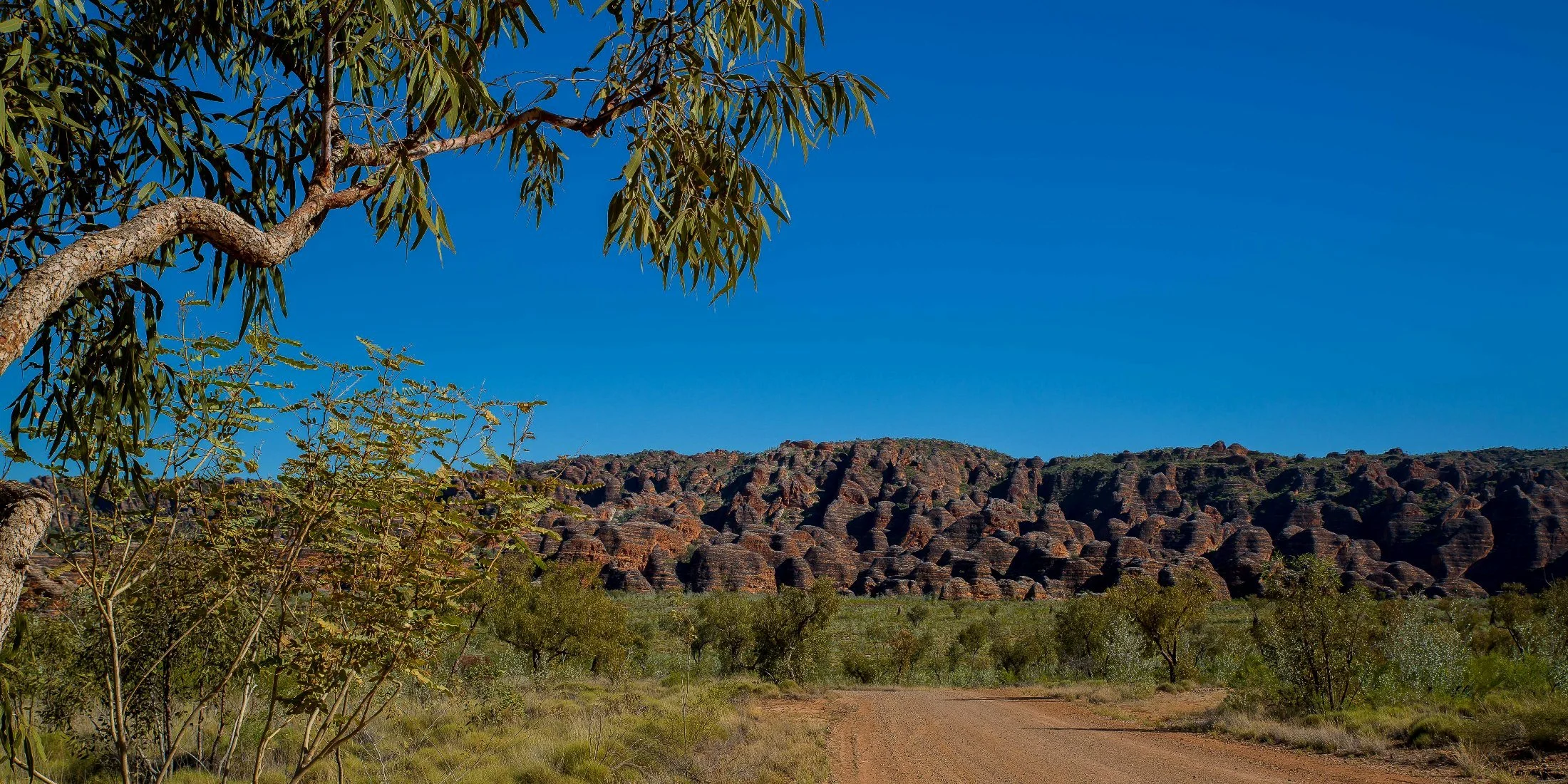 Bungle bungles,Kimberley,445,-.JPG