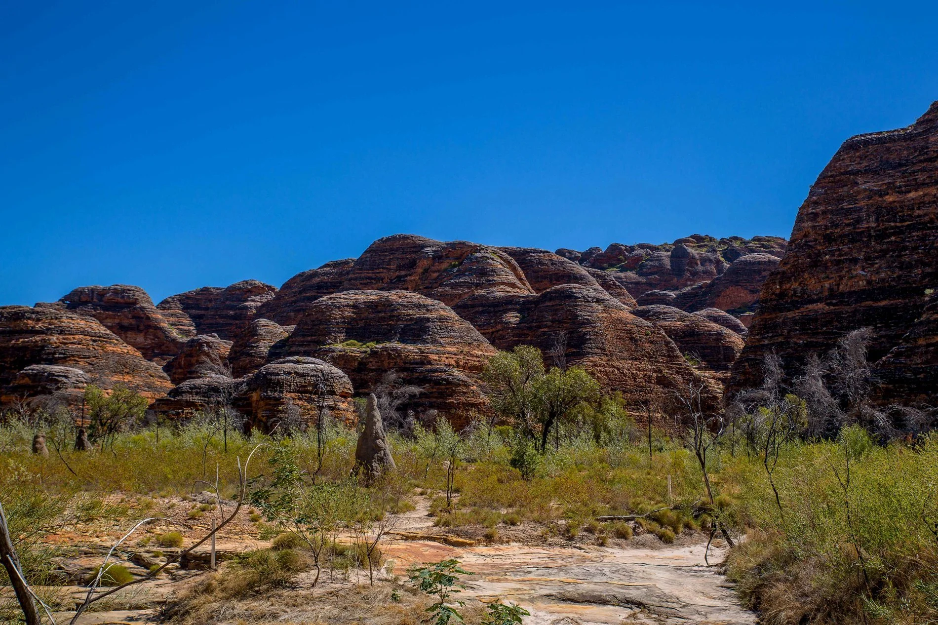 Bungle bungles,Kimberley,522,-.JPG
