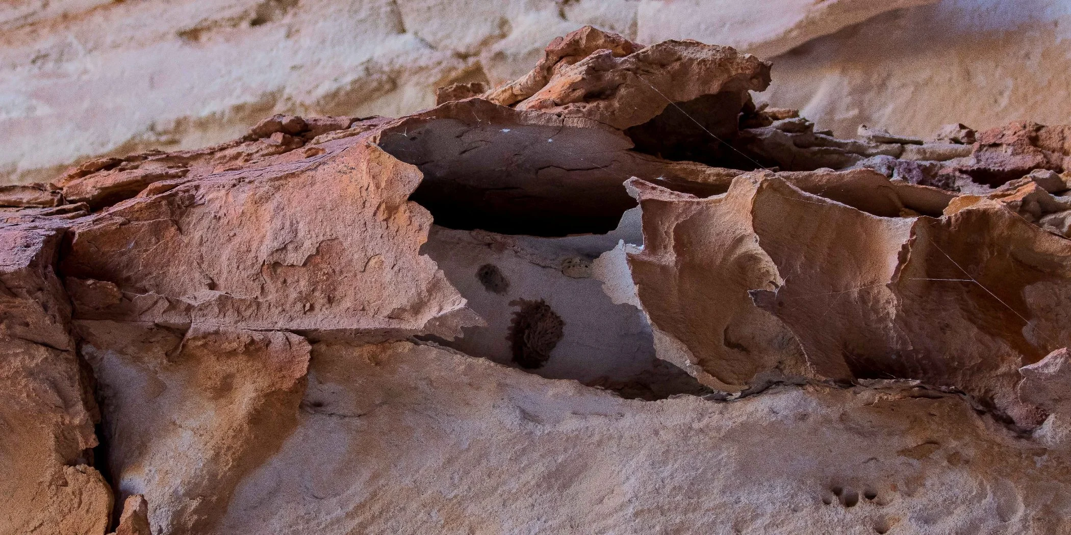 Bungle bungles,Kimberley,652,-.JPG