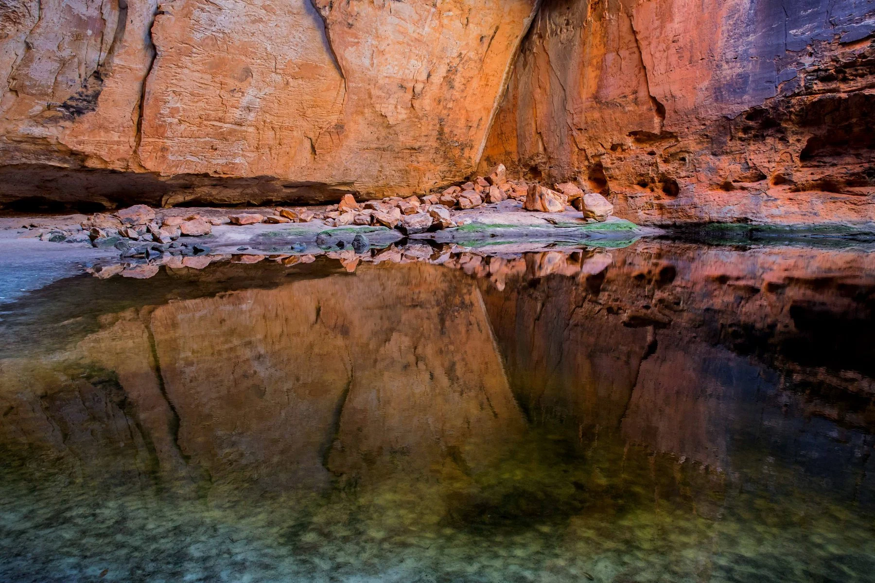 Bungle bungles,Kimberley,Cathedral,505,-.JPG