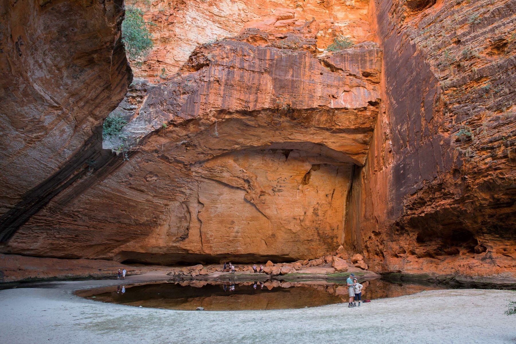 Bungle bungles,Kimberley,Cathedral,500,-.JPG