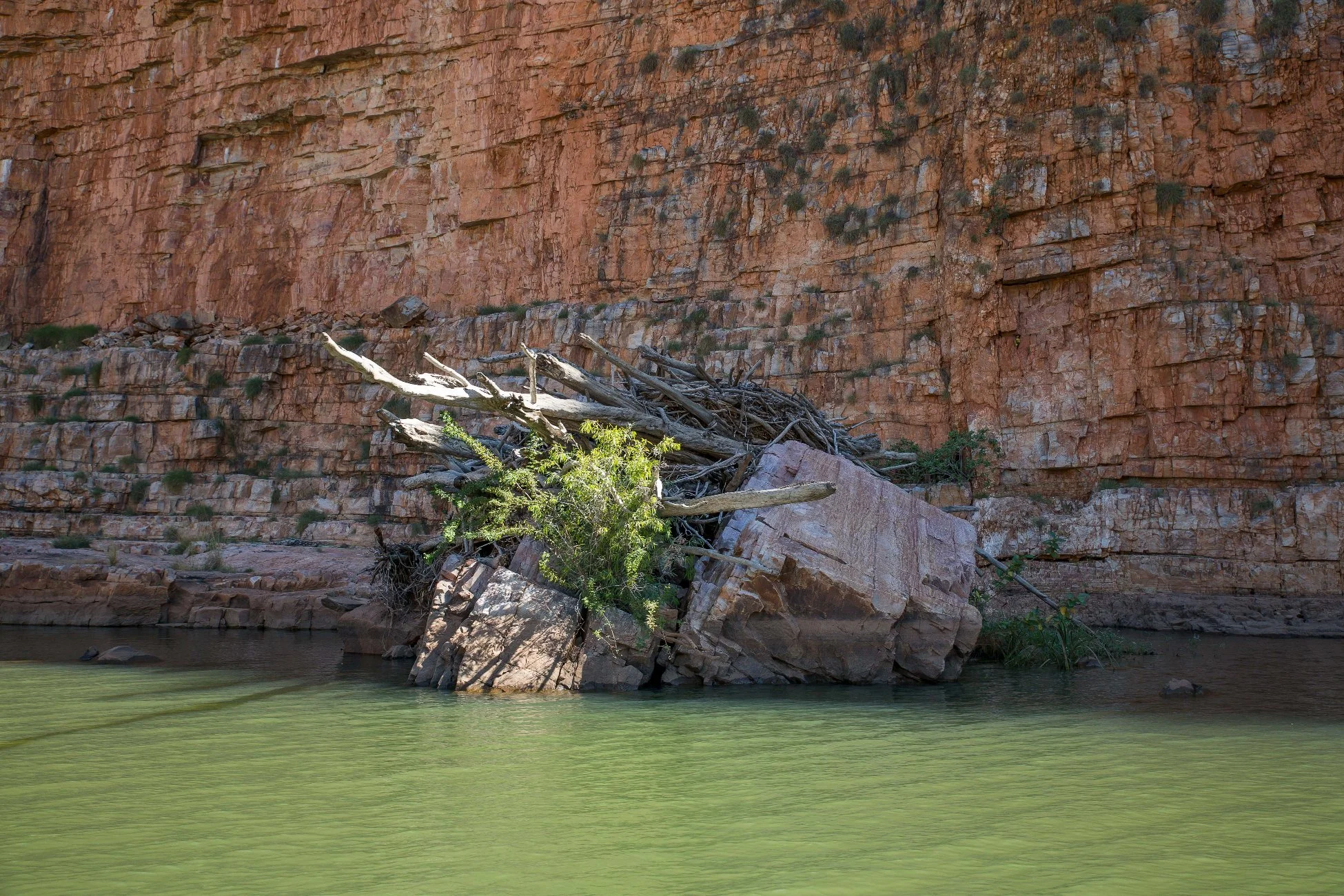 Chamberlain Gorge,Kimberley,738,-.JPG